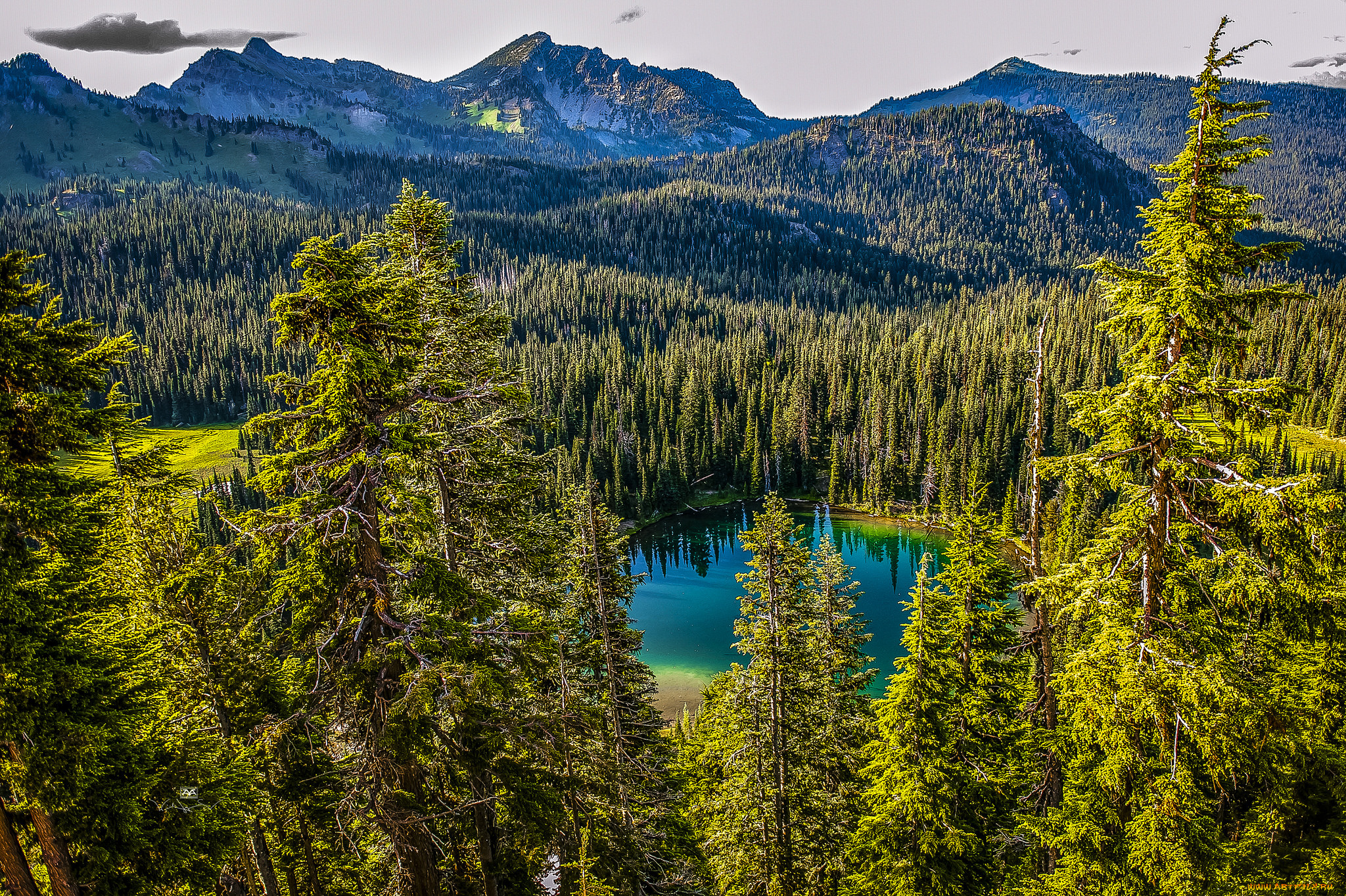 природа, реки, озера, простор