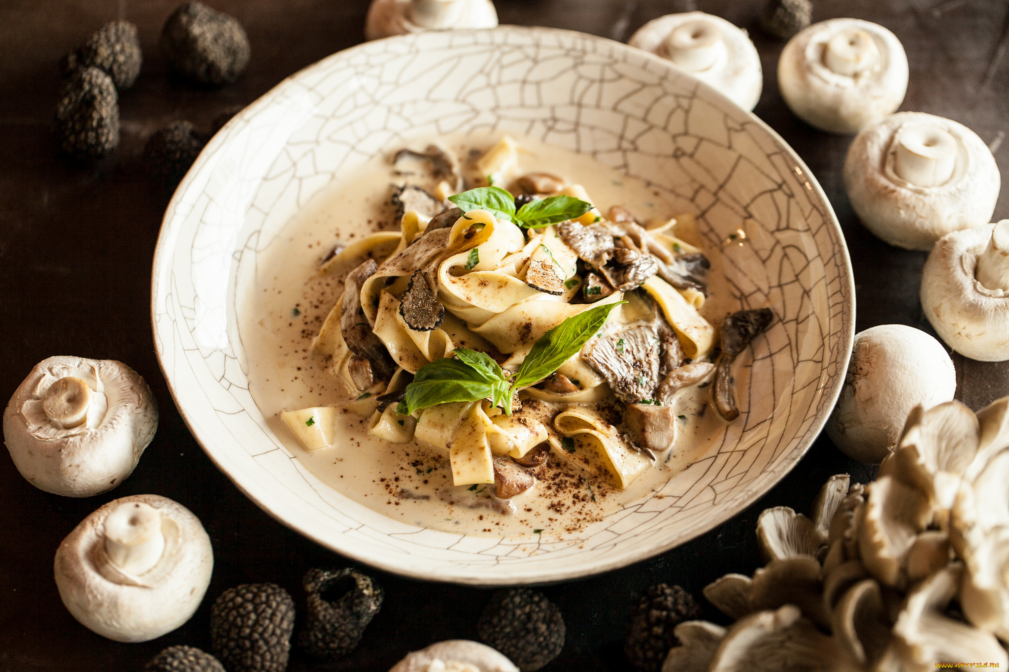 еда, макаронные, блюда, грибы, спагетти, второе, блюдо, подлива