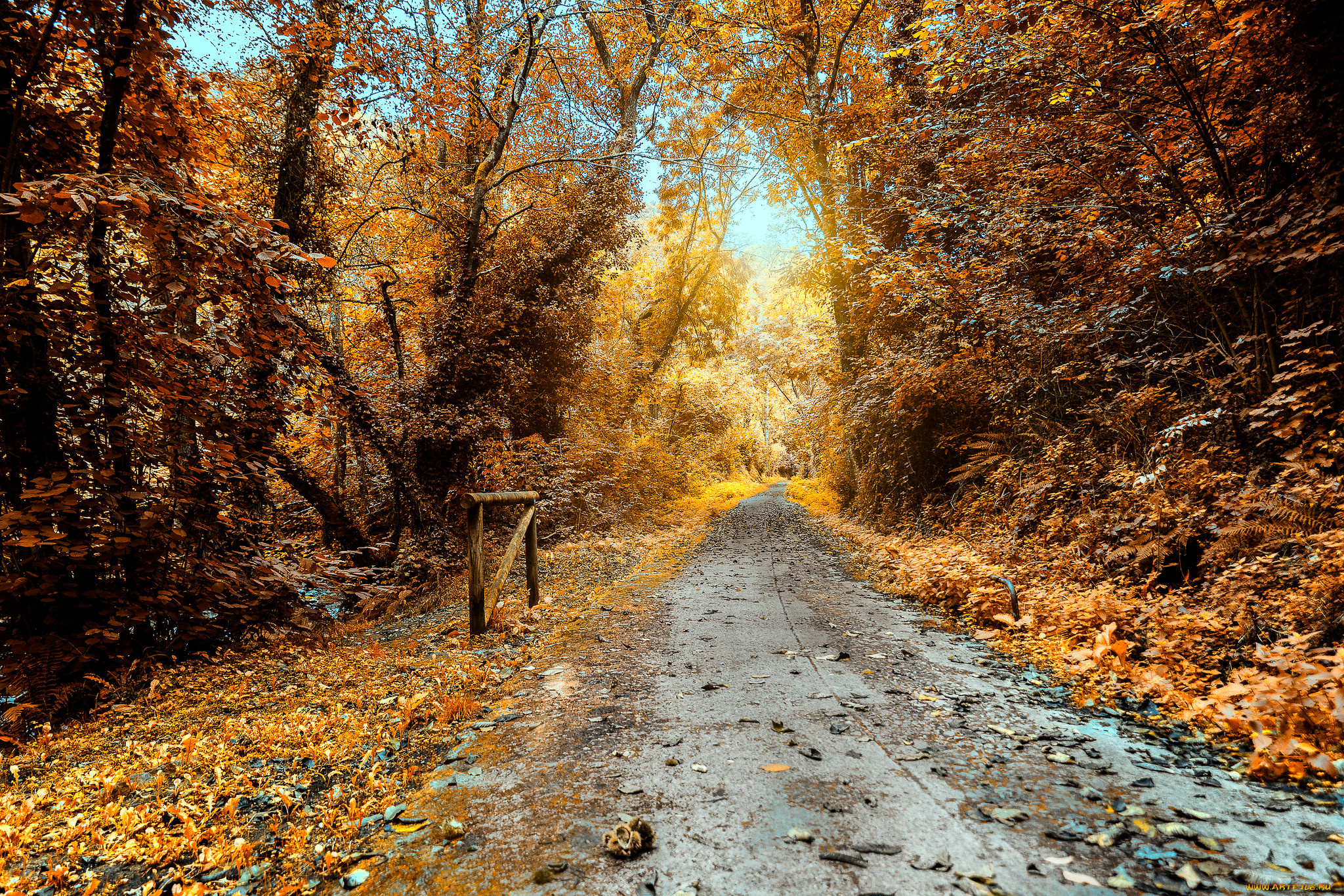 природа, дороги, простор