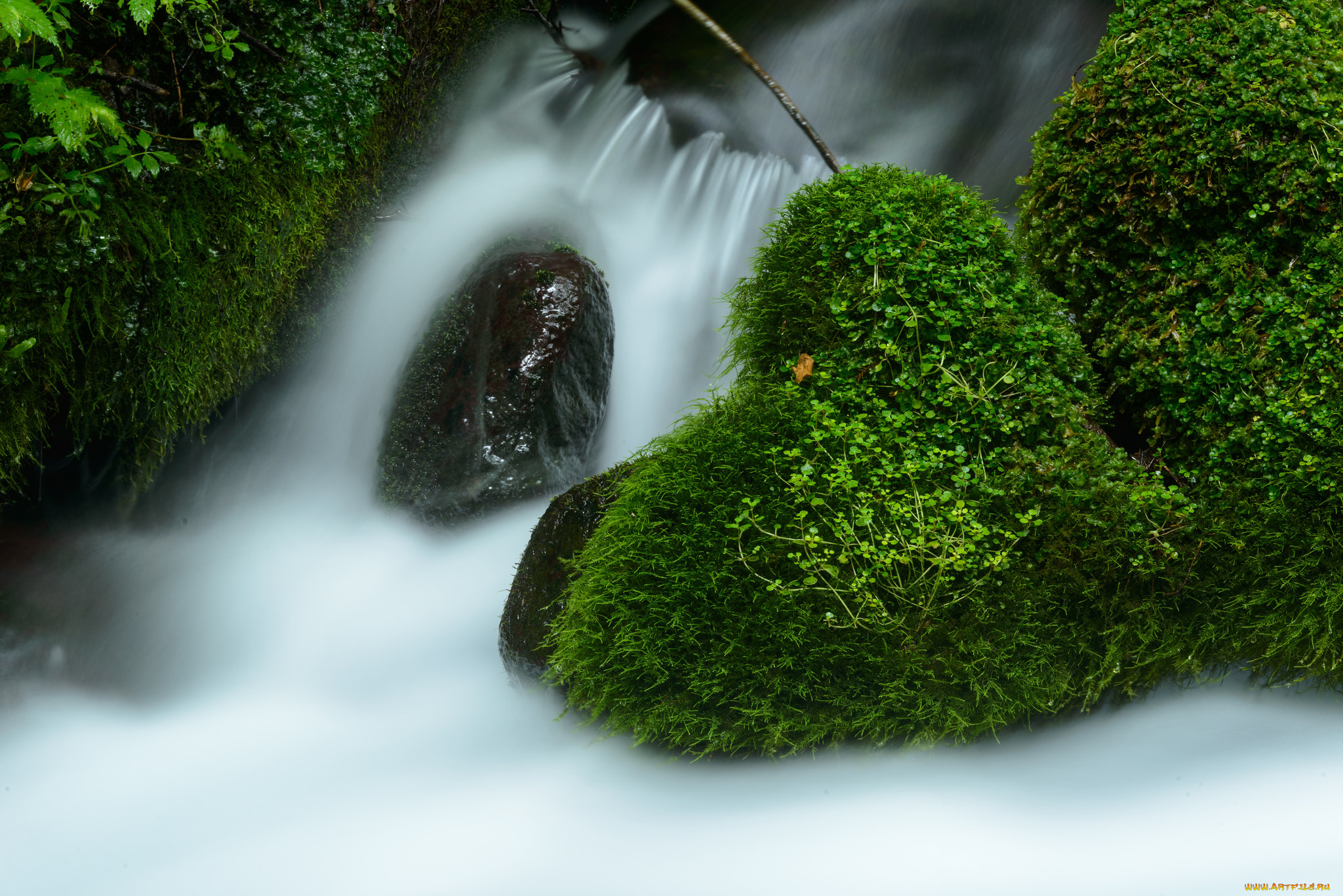 природа, водопады, waterfall, листья, вода, поток, stream, осень, autumn, leaves, водопад, water