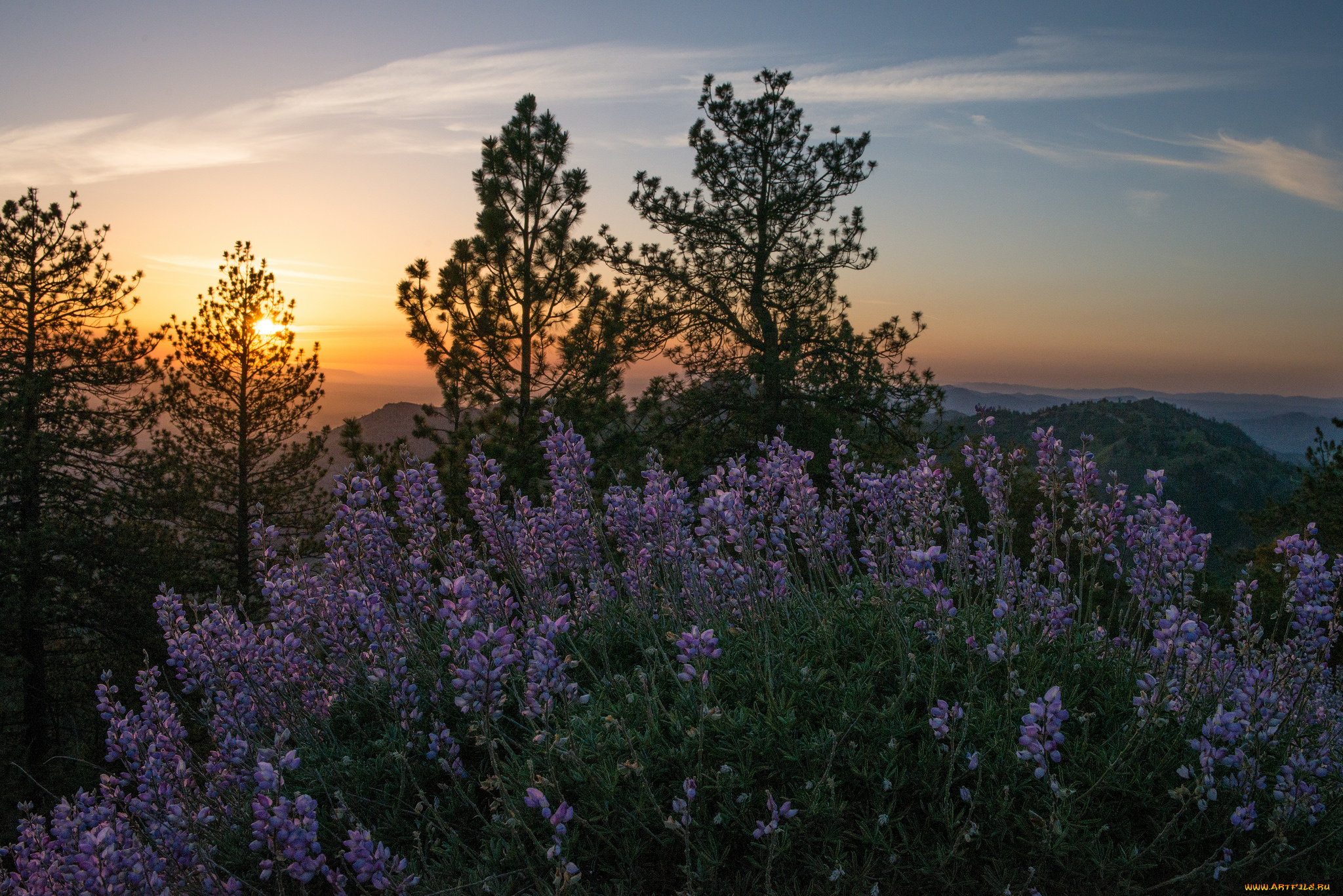 природа, восходы, закаты, простор