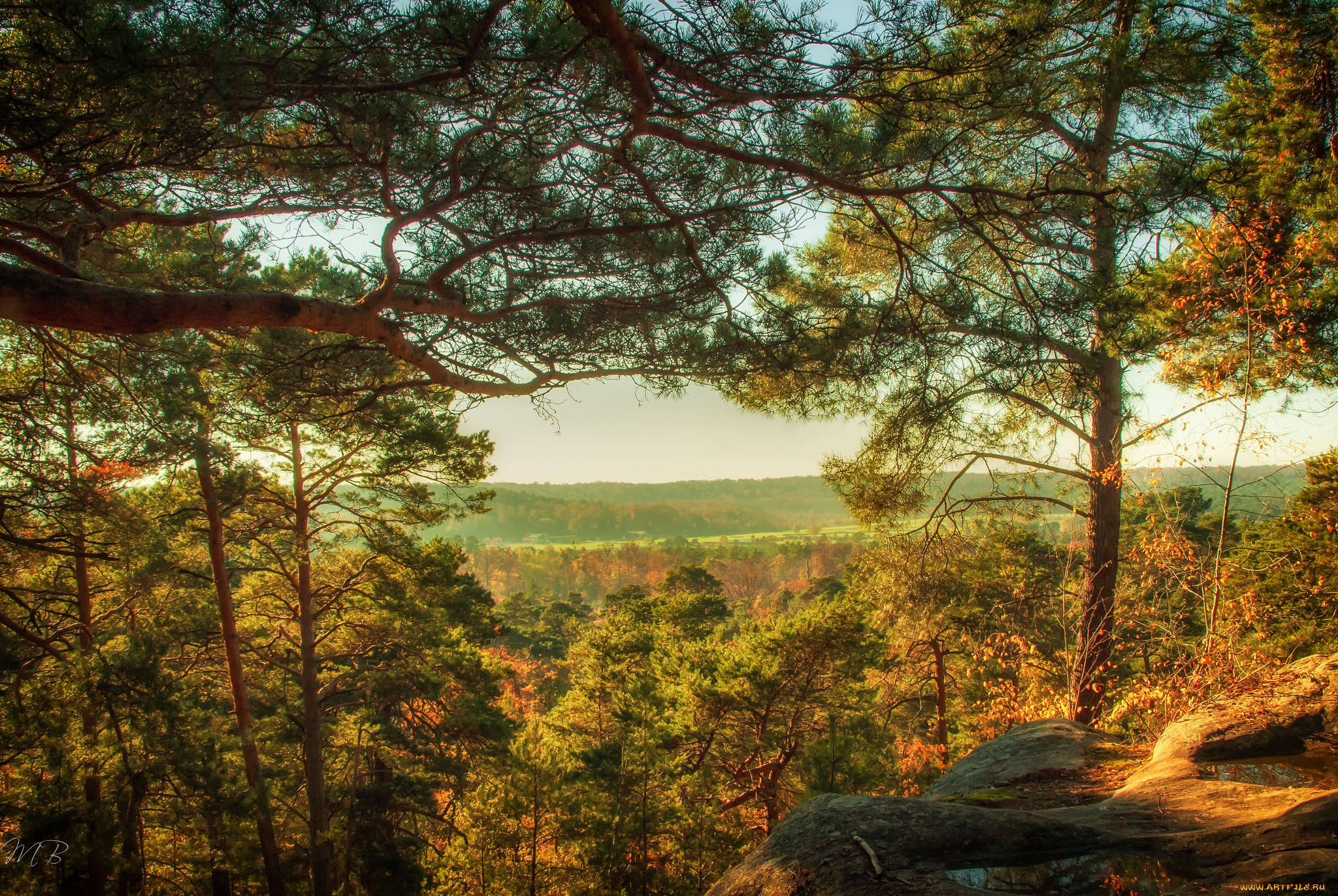 природа, пейзажи, простор