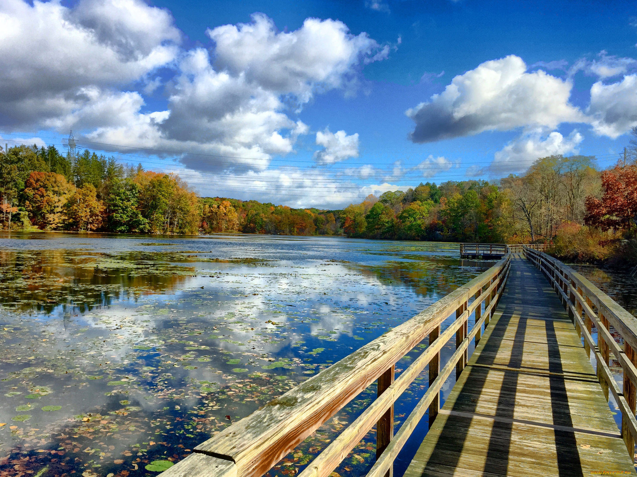 природа, реки, озера, простор