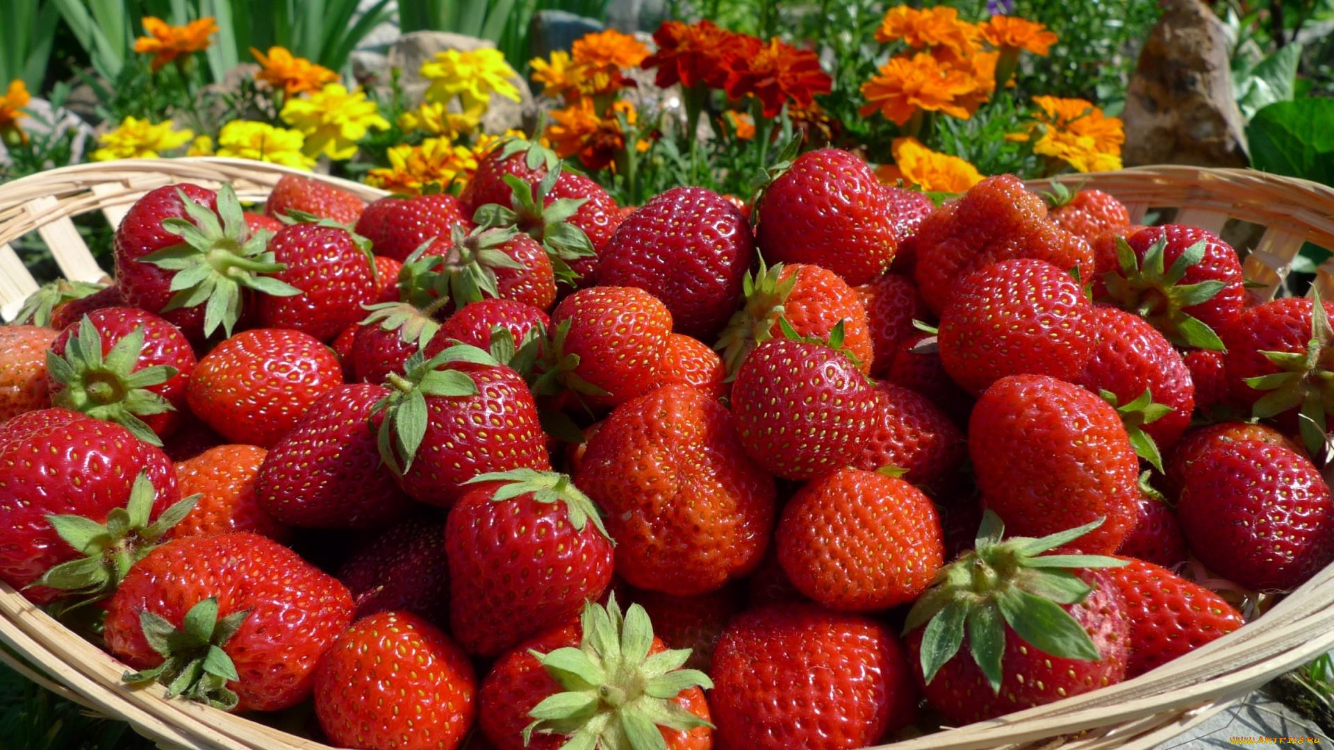 еда, клубника, , земляника, ягоды, корзина