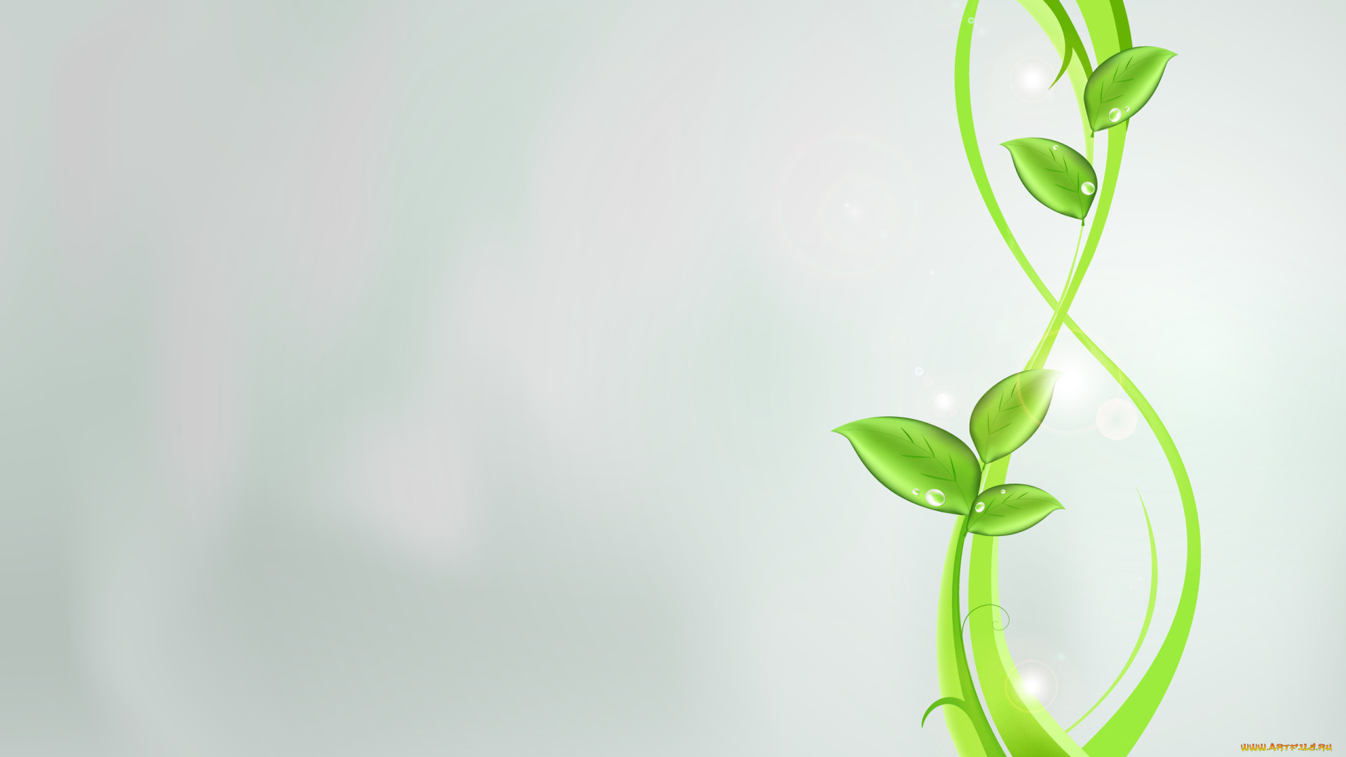 праздничные, международный, женский, день, -, 8, марта, растения