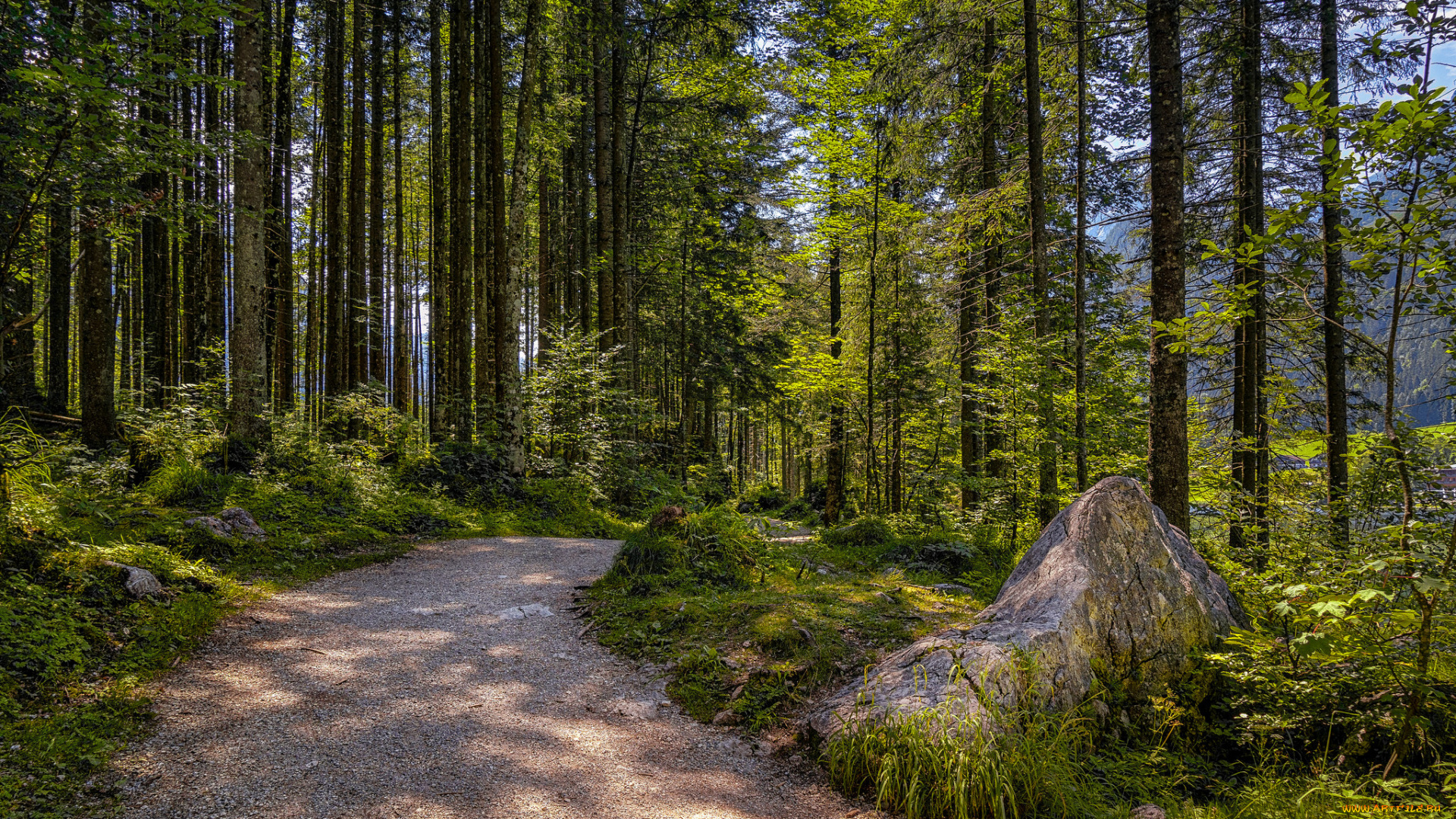 природа, дороги, простор