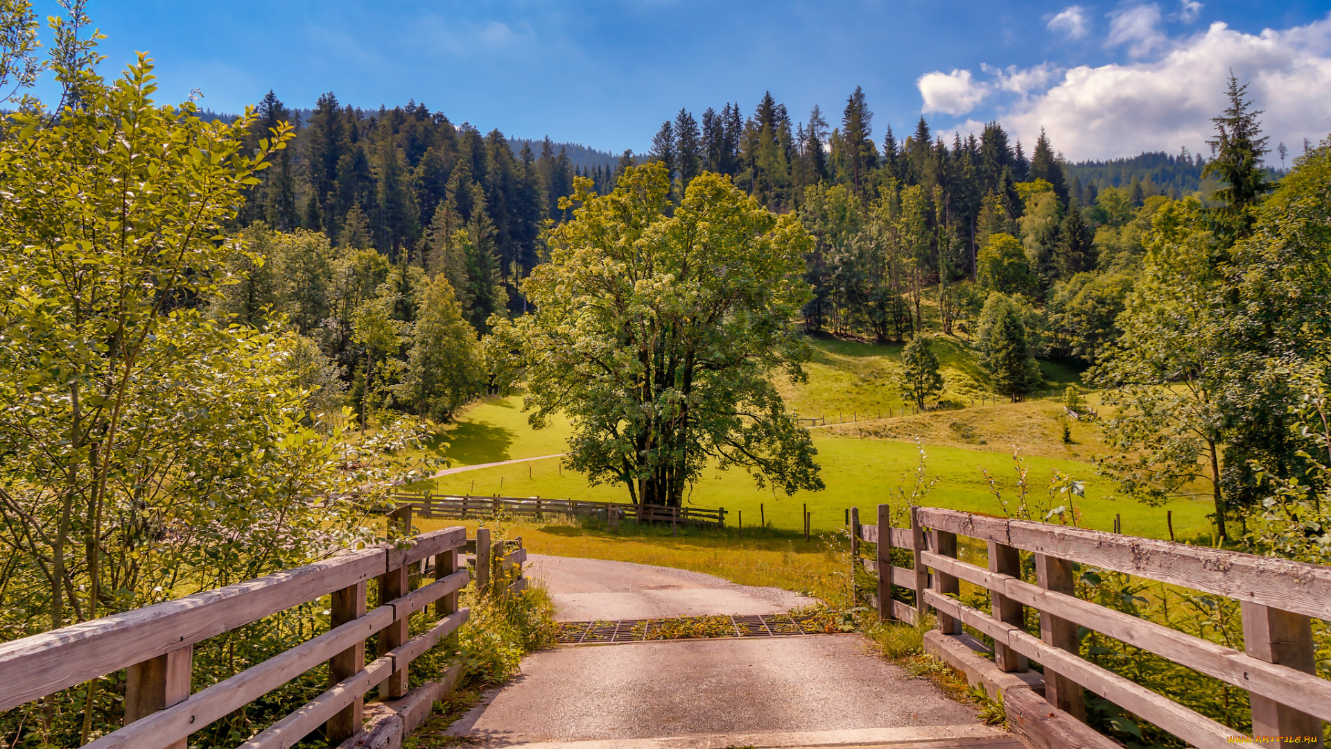 природа, дороги, простор