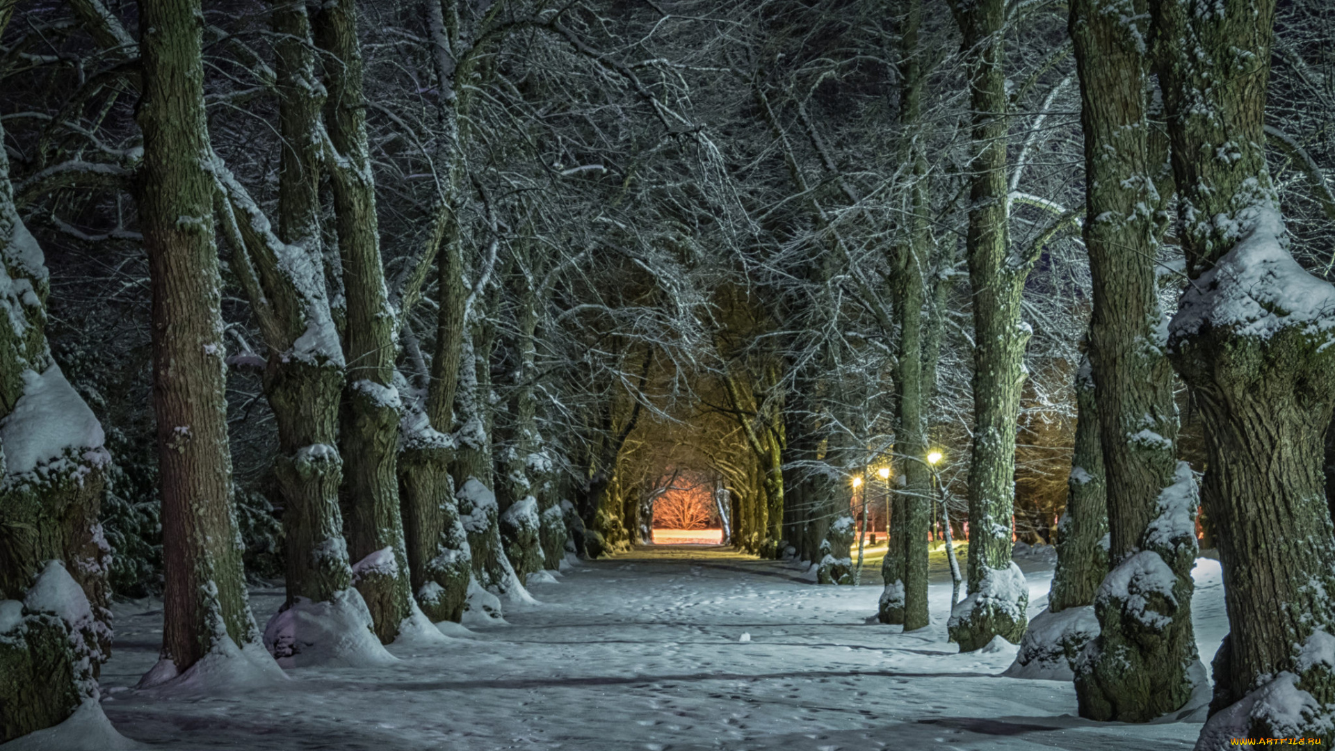 природа, другое, простор