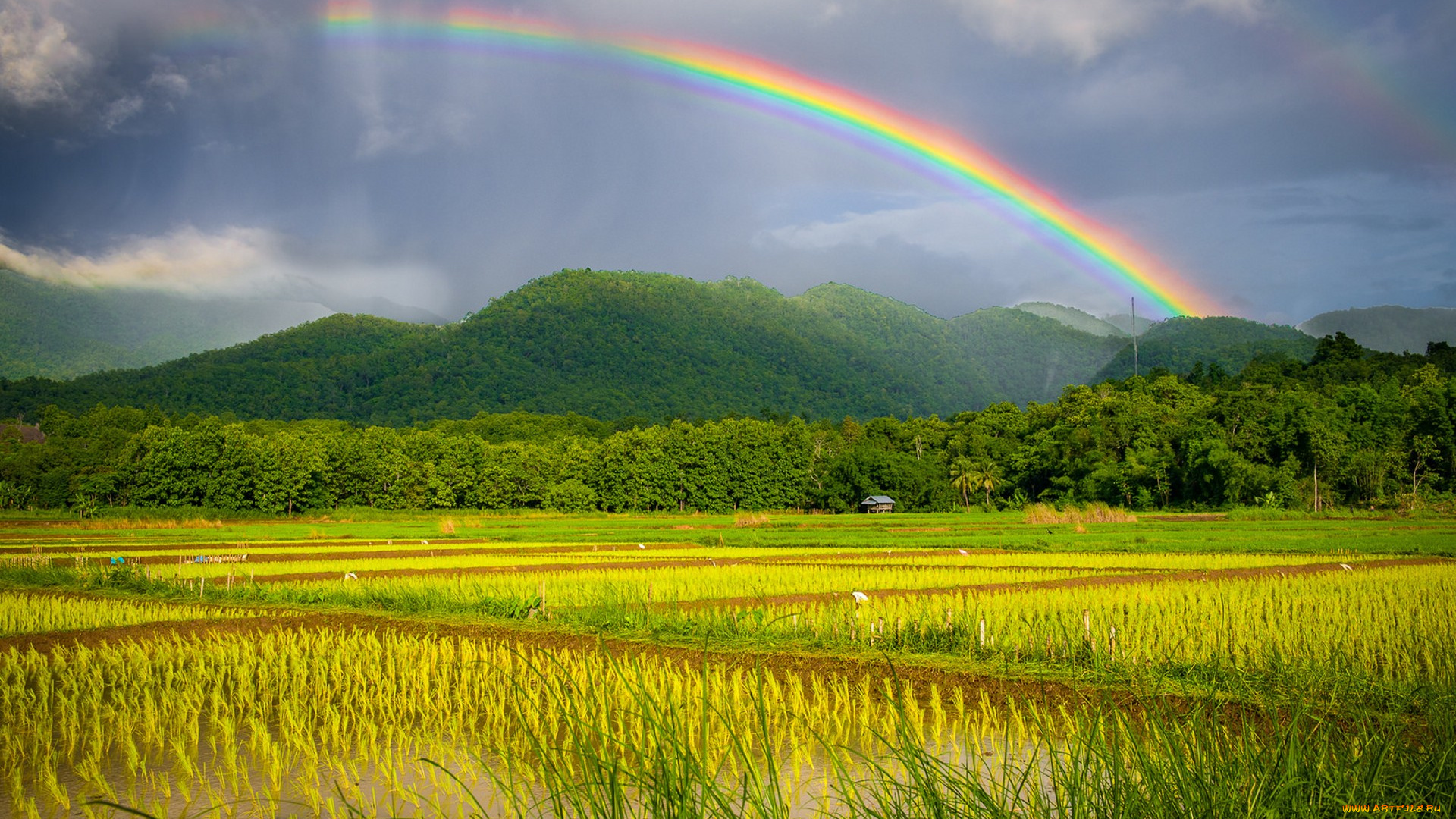 природа, радуга, простор