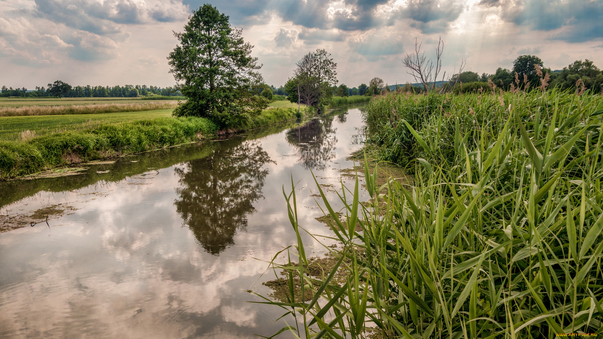 природа, реки, озера, простор