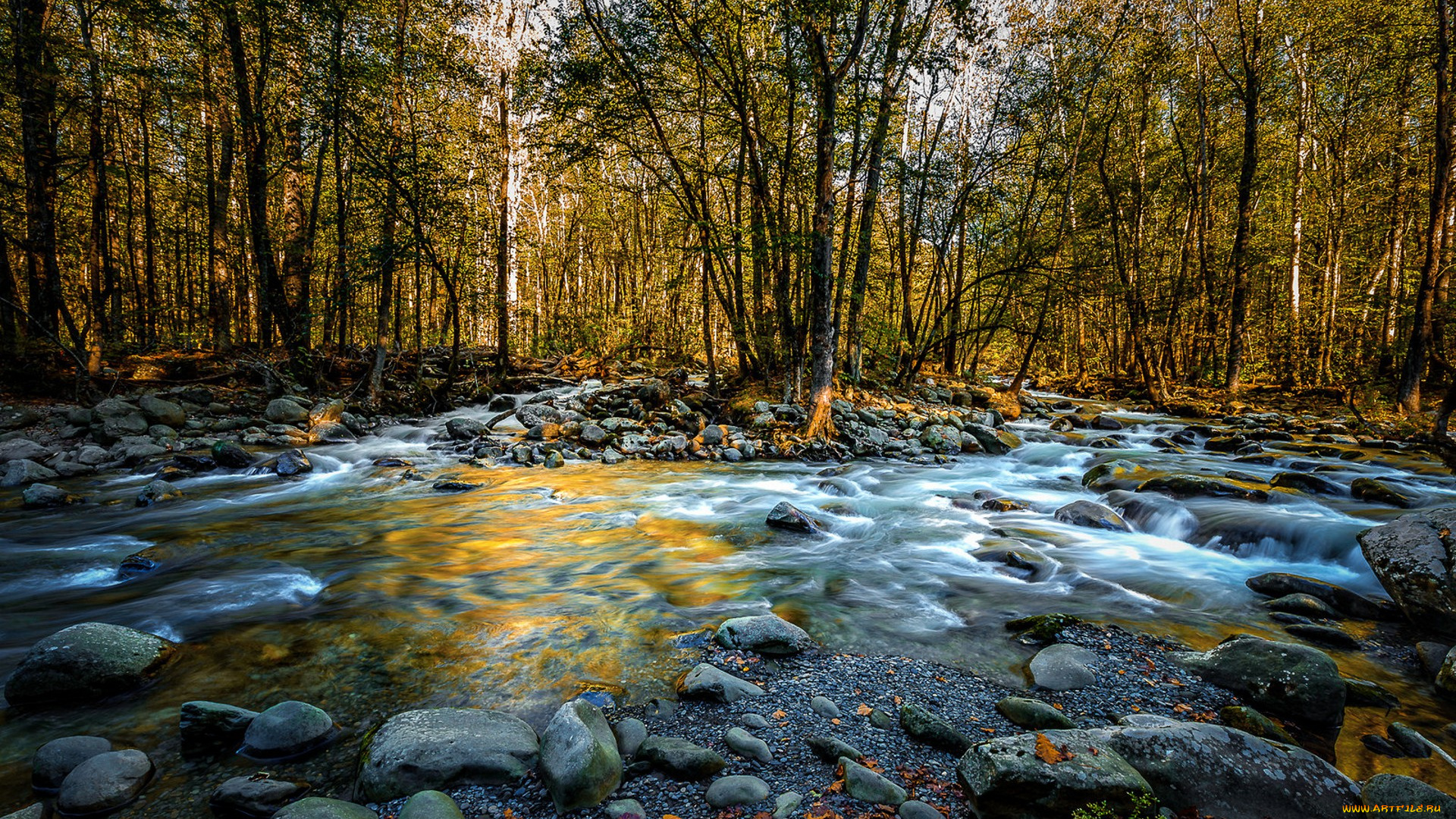 природа, реки, озера, простор