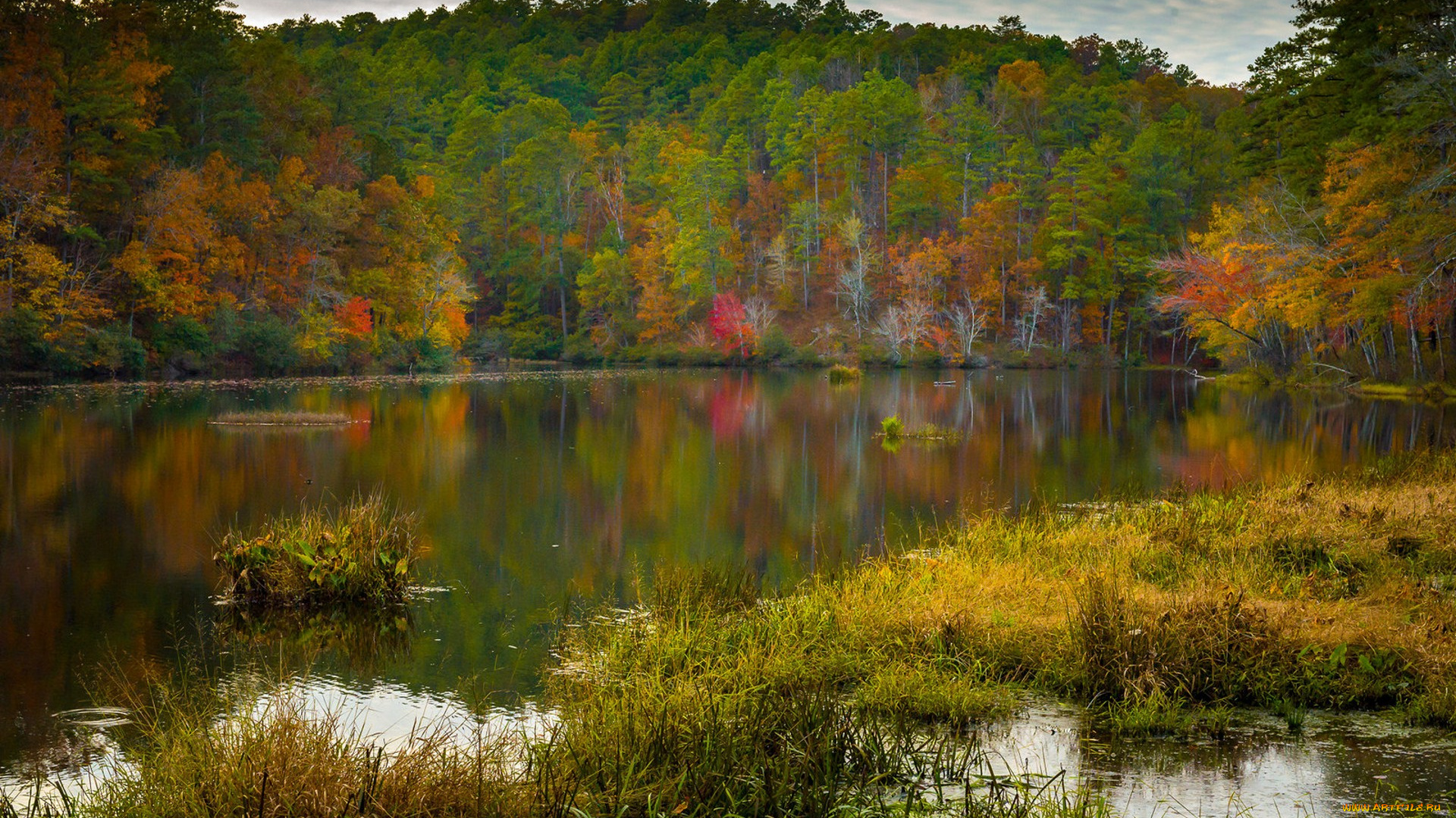 природа, реки, озера, простор