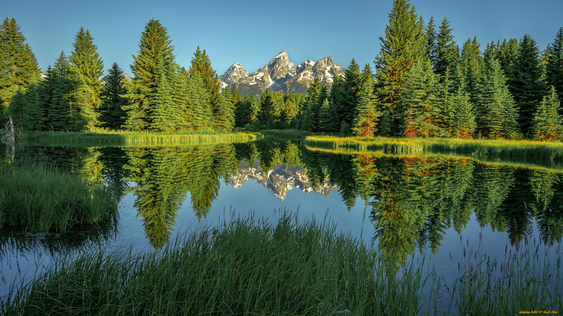 природа, реки, озера, зелень, лес, лето, деревья, горы, озеро, отражение, вайоминг, wyoming, grand, teton, national, park, скалистые, rocky, mountains, beaver, pond, национальный, парк, гранд-титон