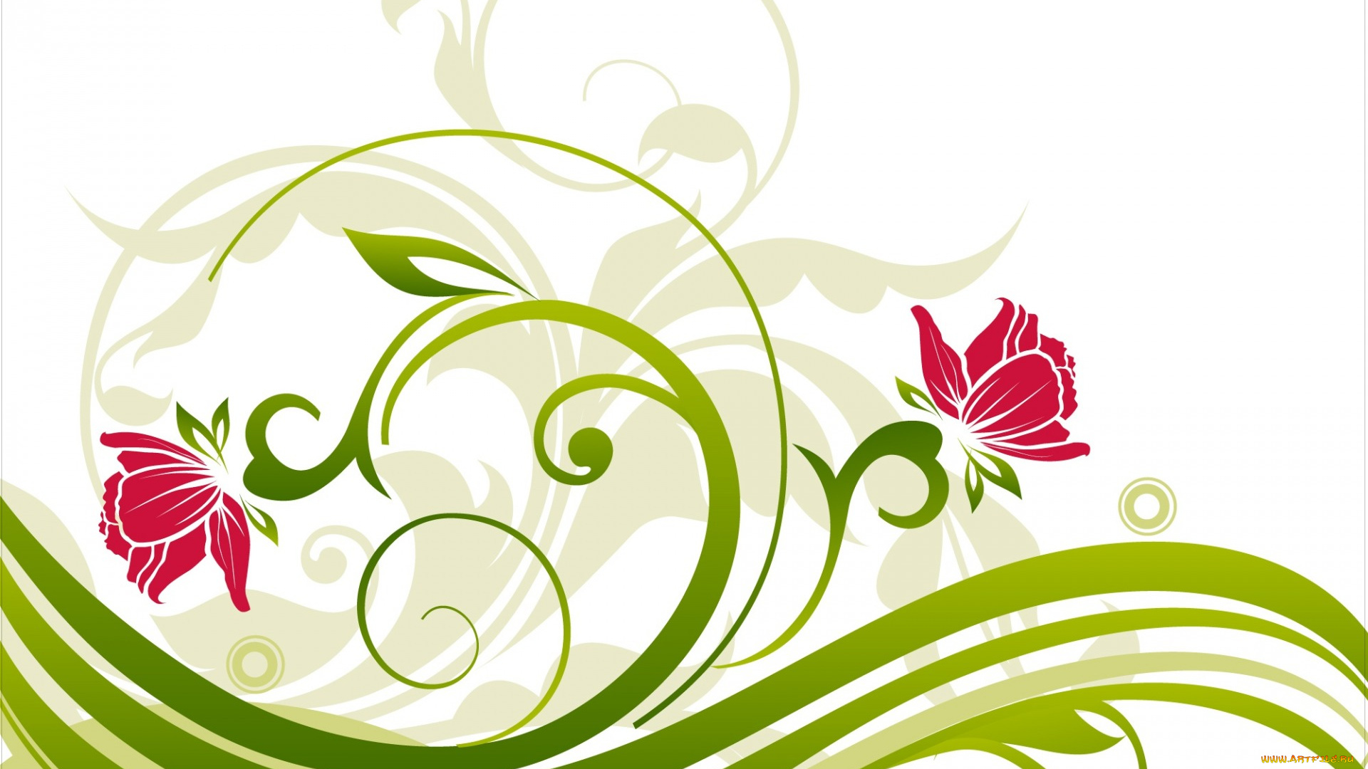 векторная, графика, цветы, , flowers, узор, текстура, винтаж, векторная, графика