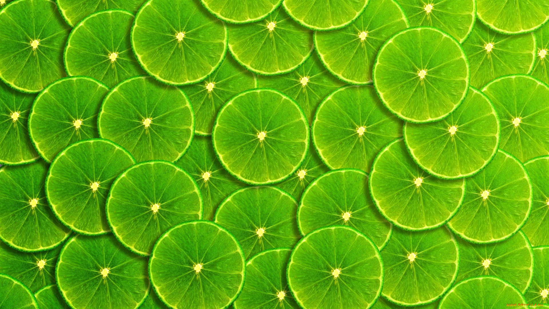 векторная, графика, еда, , food, фон, green, лайм, фрукты, ломтики, background, fruit, lime, frangipani, slice