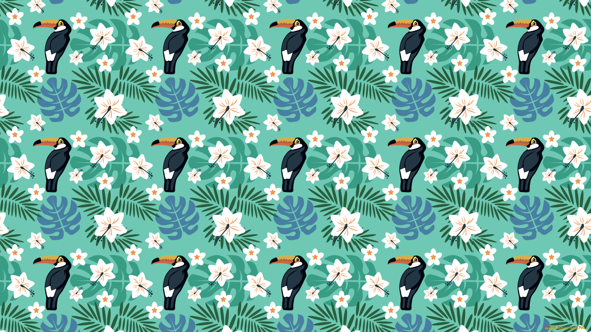 векторная, графика, животные, , animals, цветы, птицы, тропики, тукан