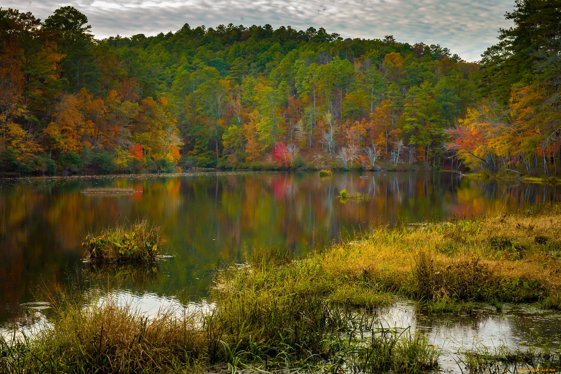 природа, реки, озера, простор