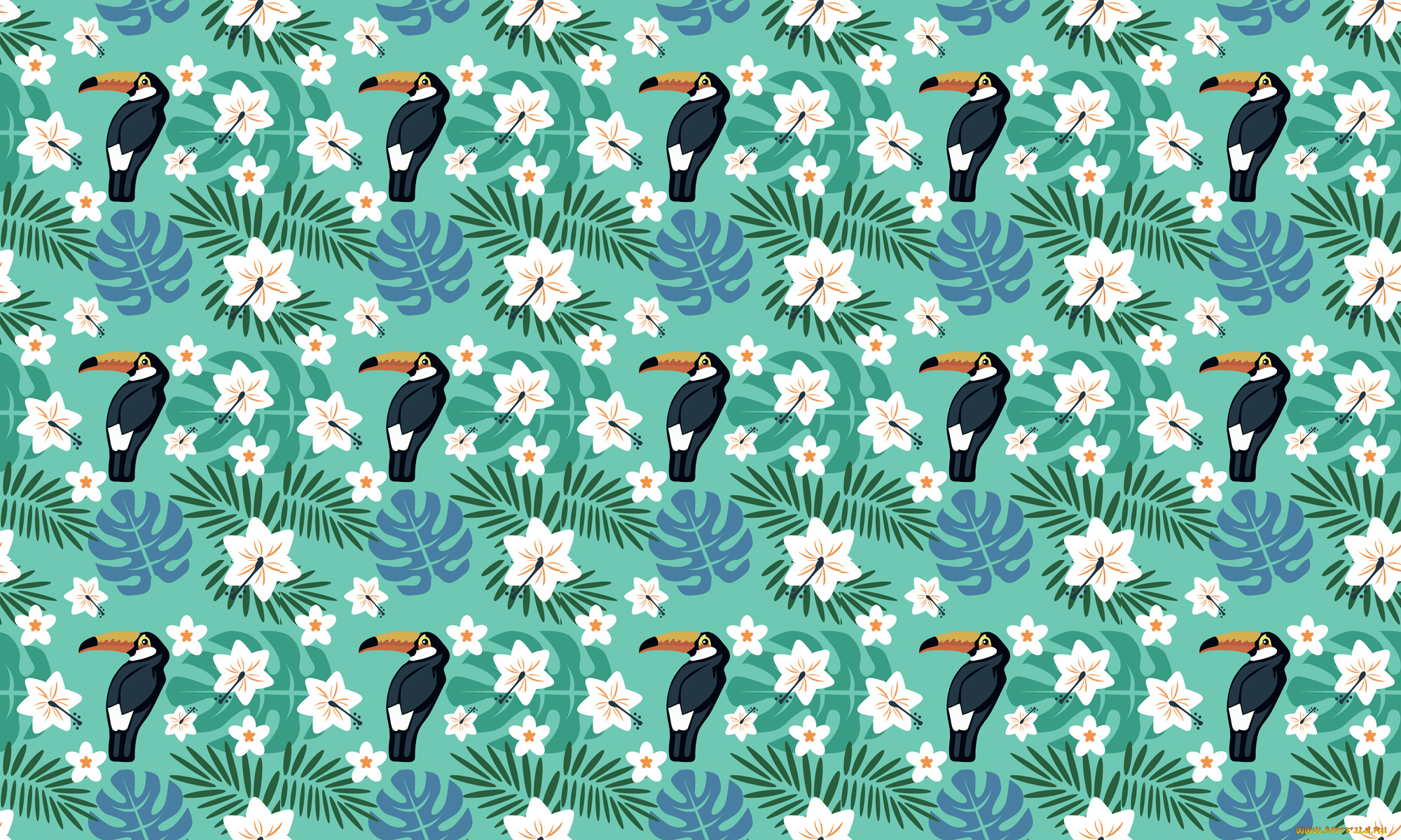векторная, графика, животные, , animals, цветы, птицы, тропики, тукан