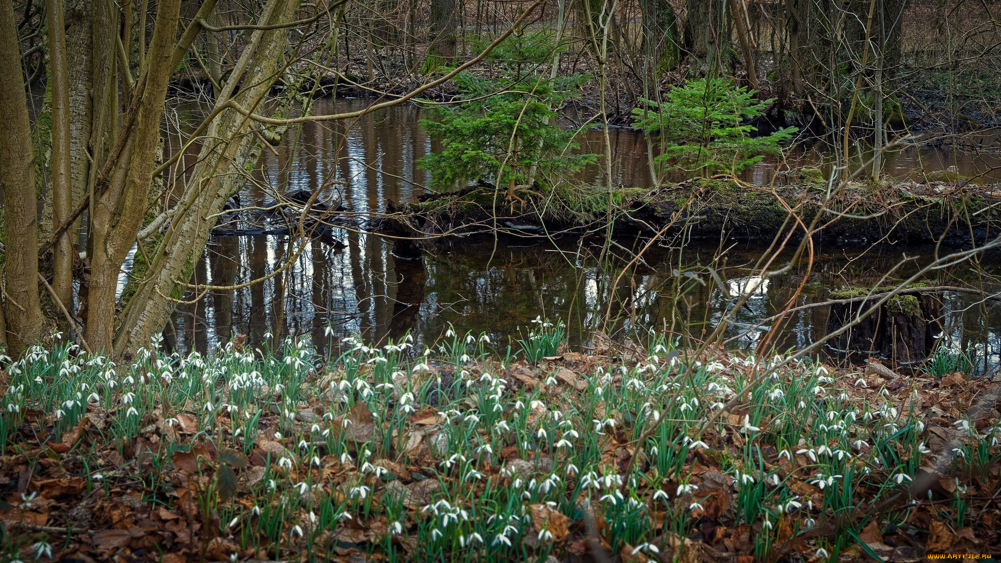 природа, реки, озера, простор