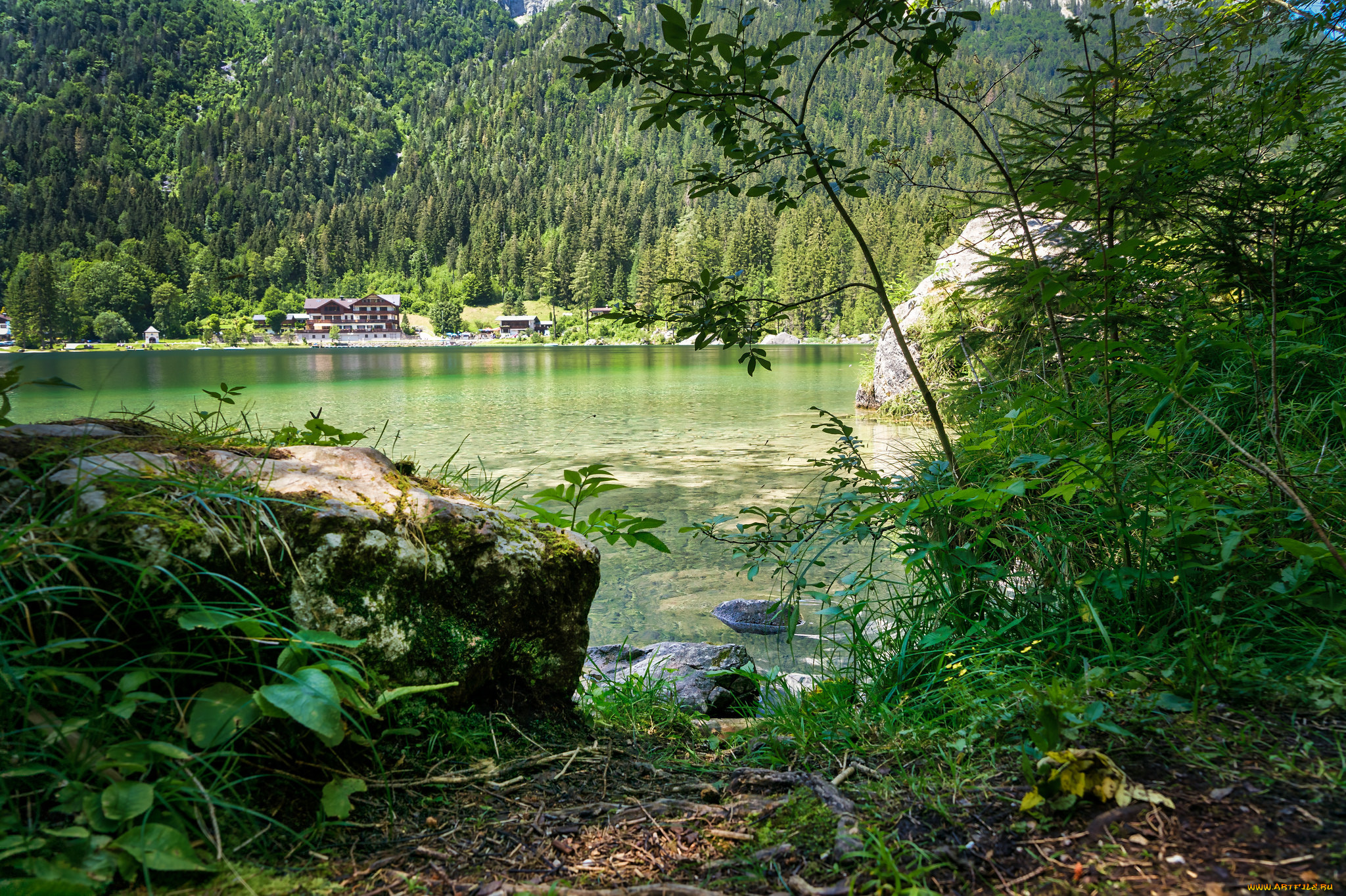 природа, реки, озера, простор