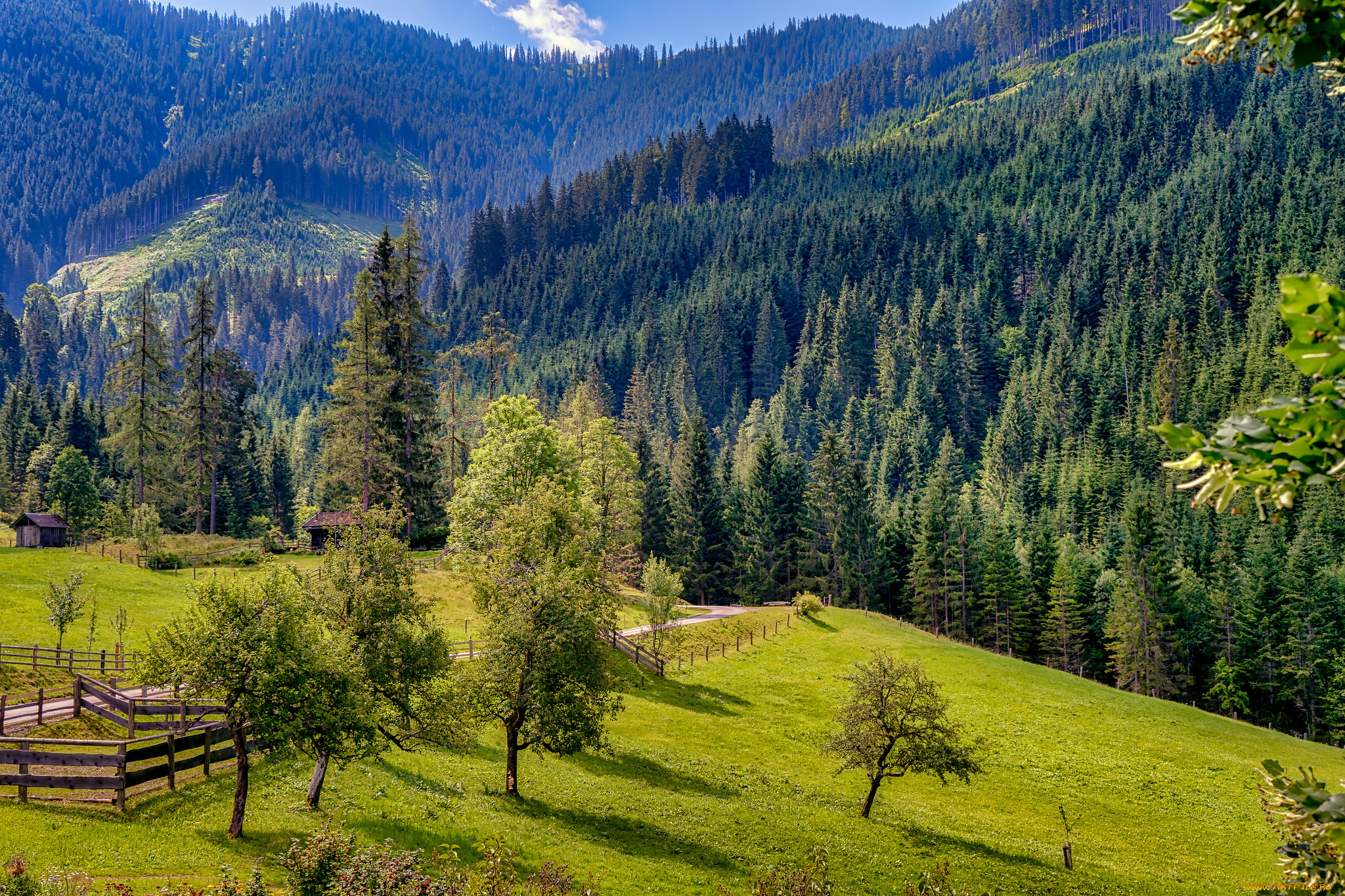природа, пейзажи, простор