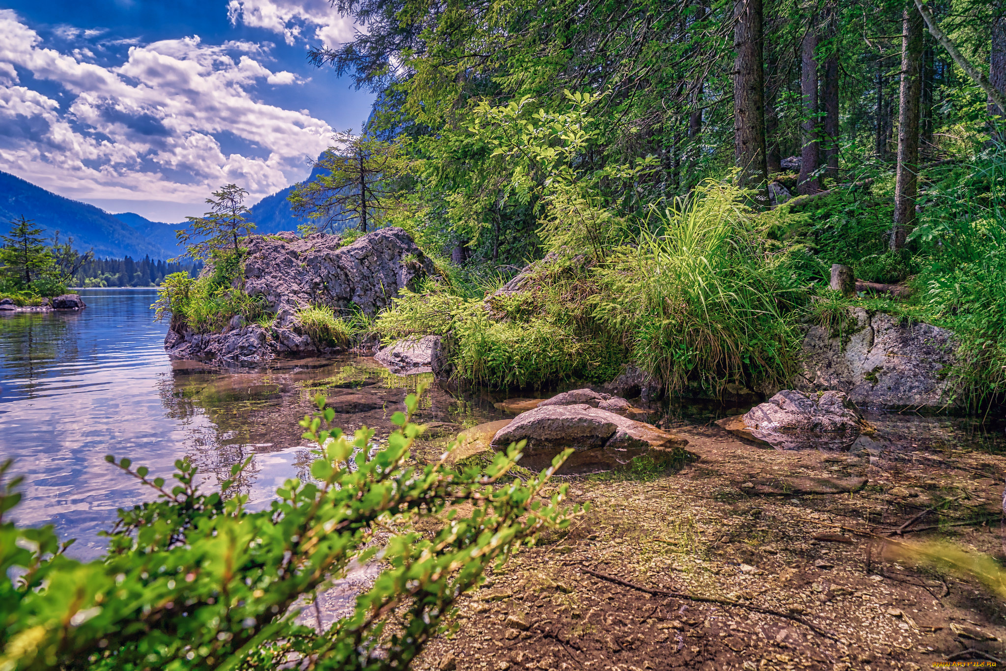 природа, реки, озера, простор