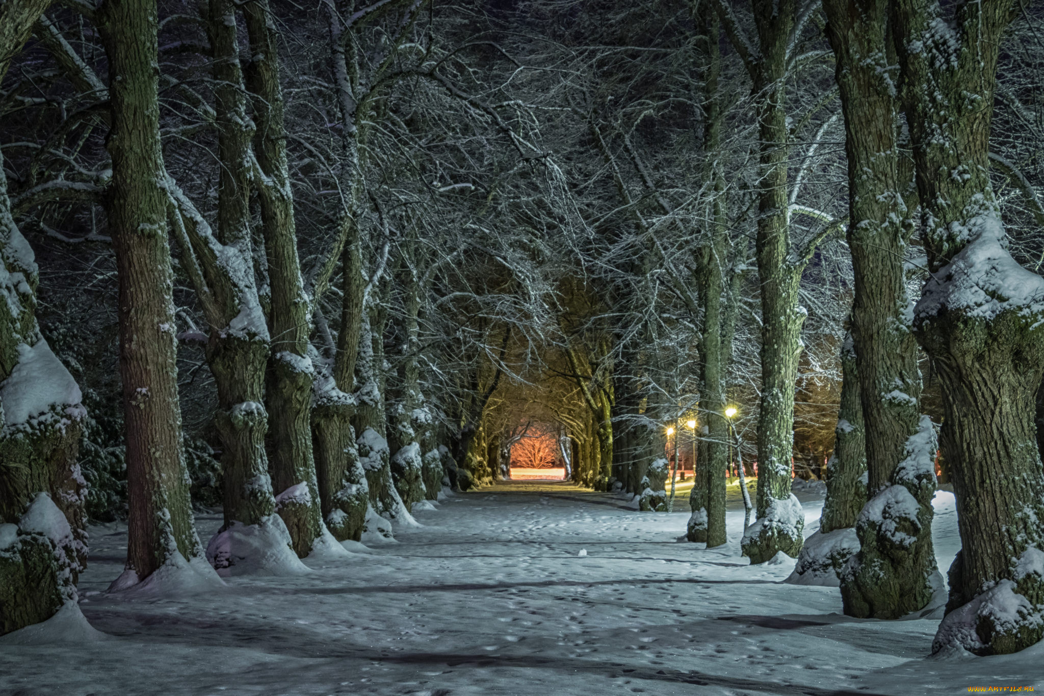 природа, другое, простор