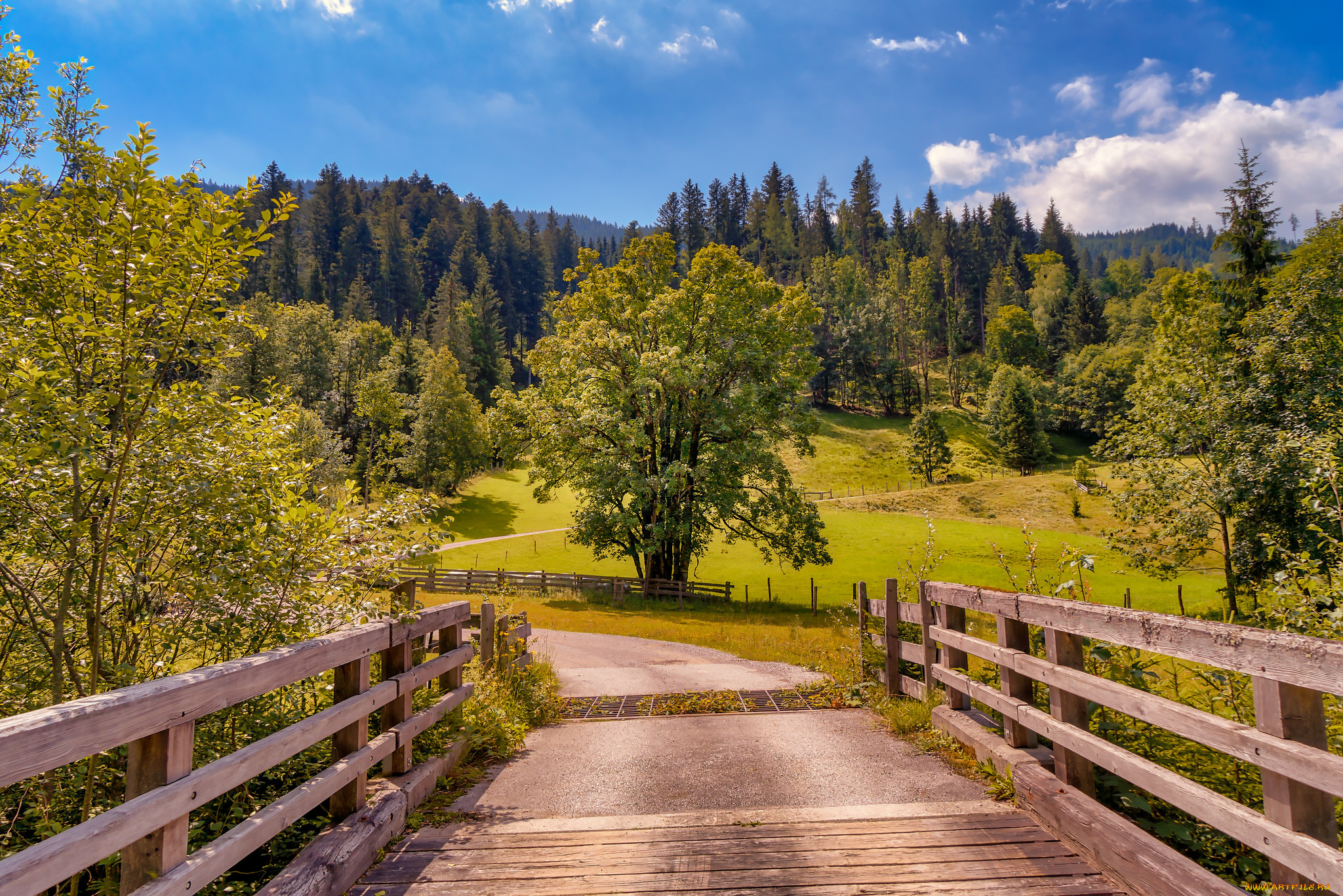 природа, дороги, простор