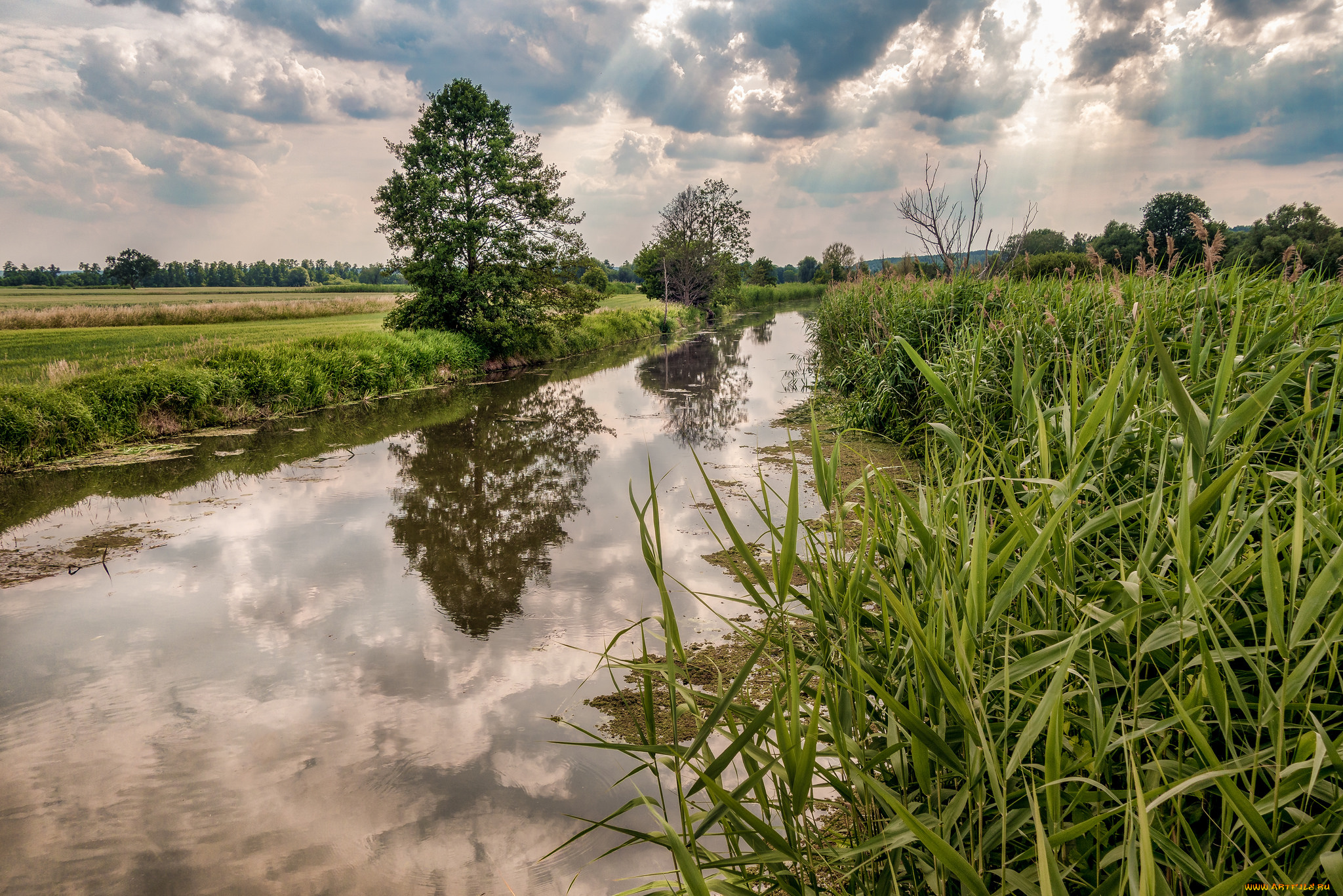 природа, реки, озера, простор