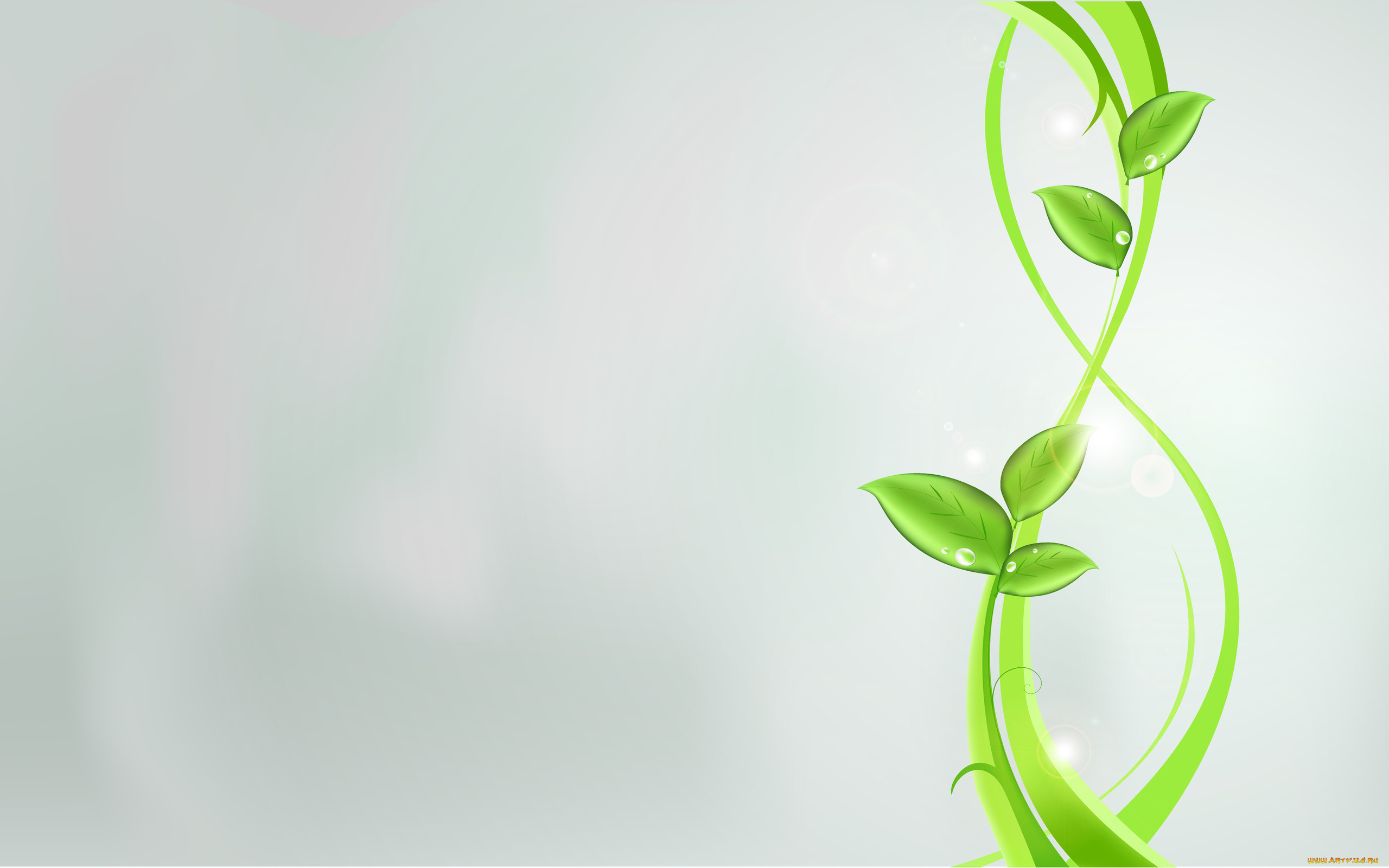 праздничные, международный, женский, день, -, 8, марта, растения