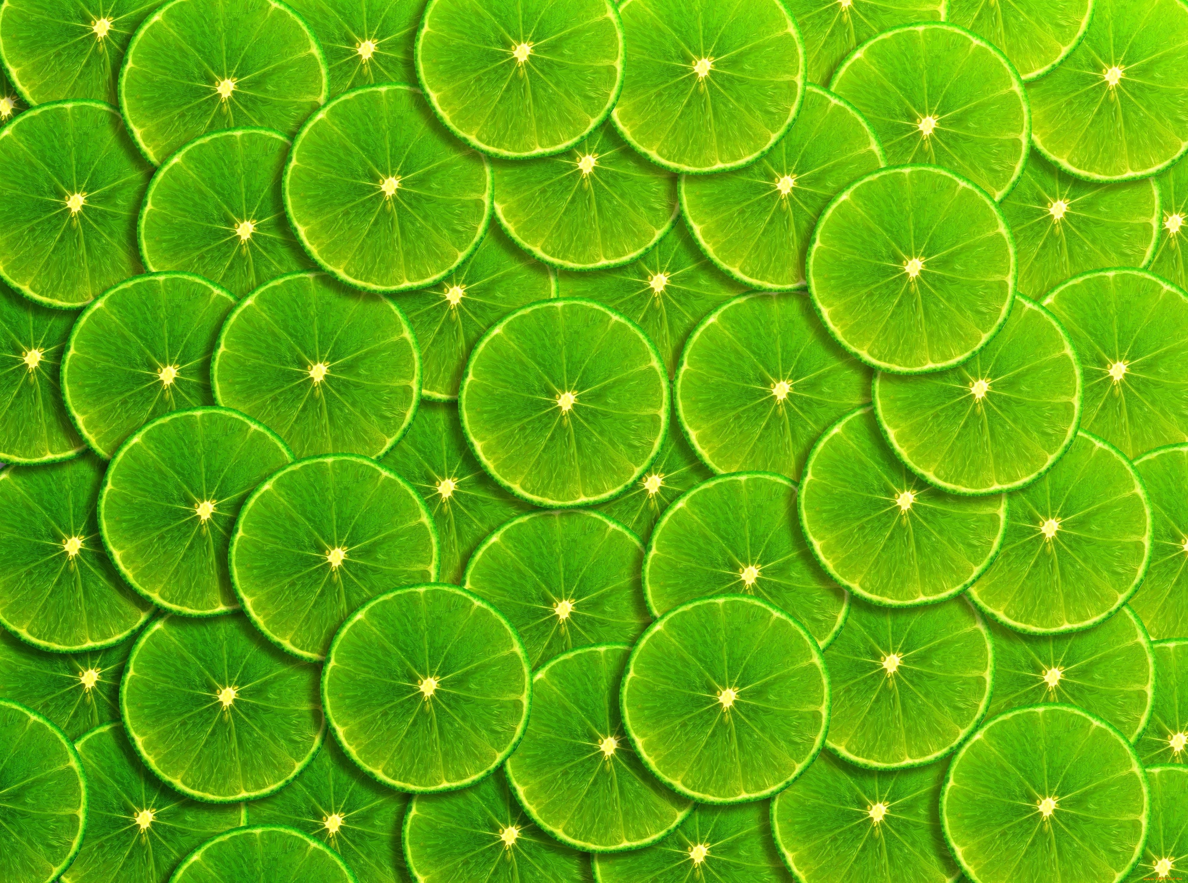векторная, графика, еда, , food, фон, green, лайм, фрукты, ломтики, background, fruit, lime, frangipani, slice