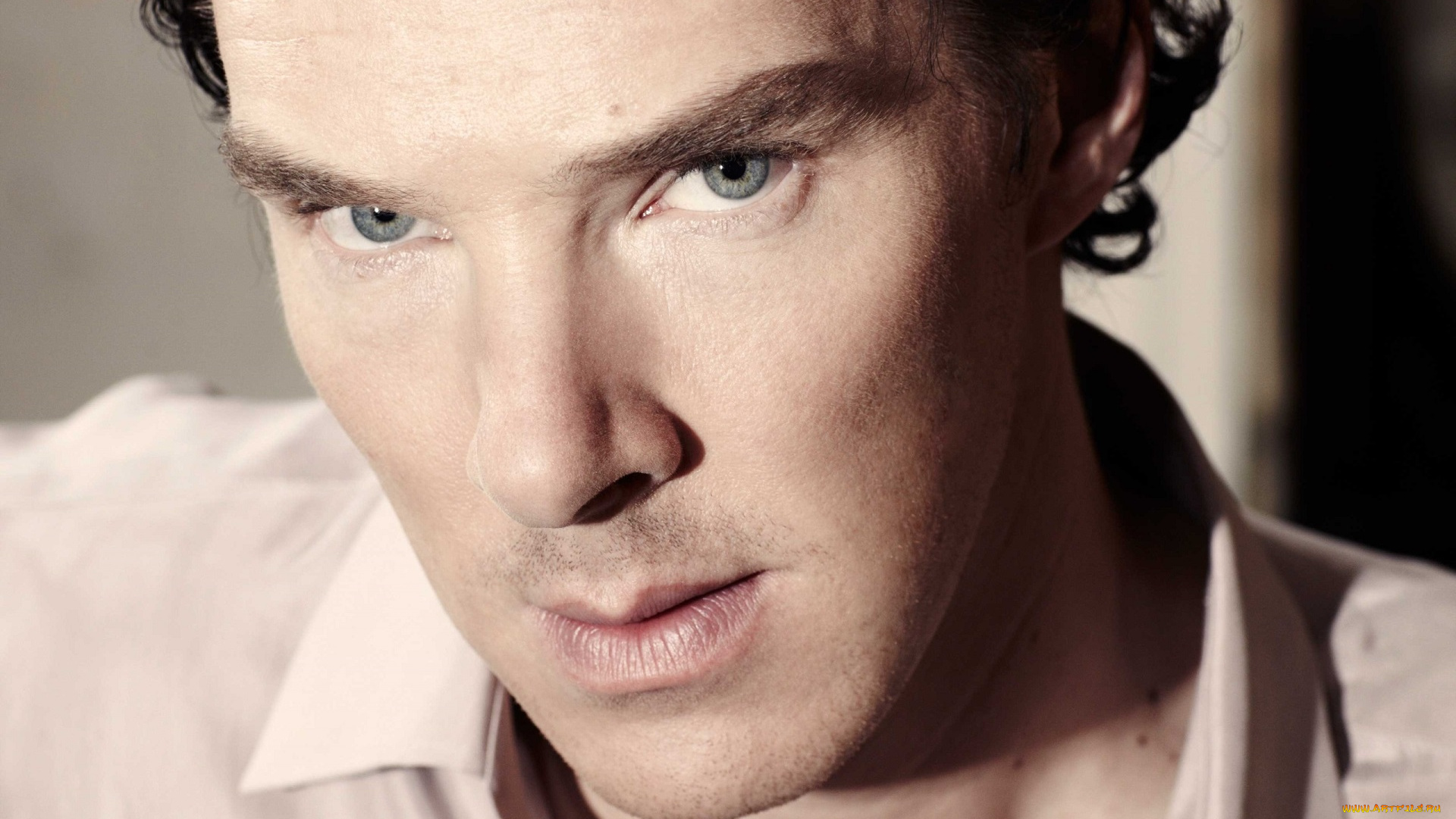 мужчины, benedict, cumberbatch, бенедикт, камбербэтч