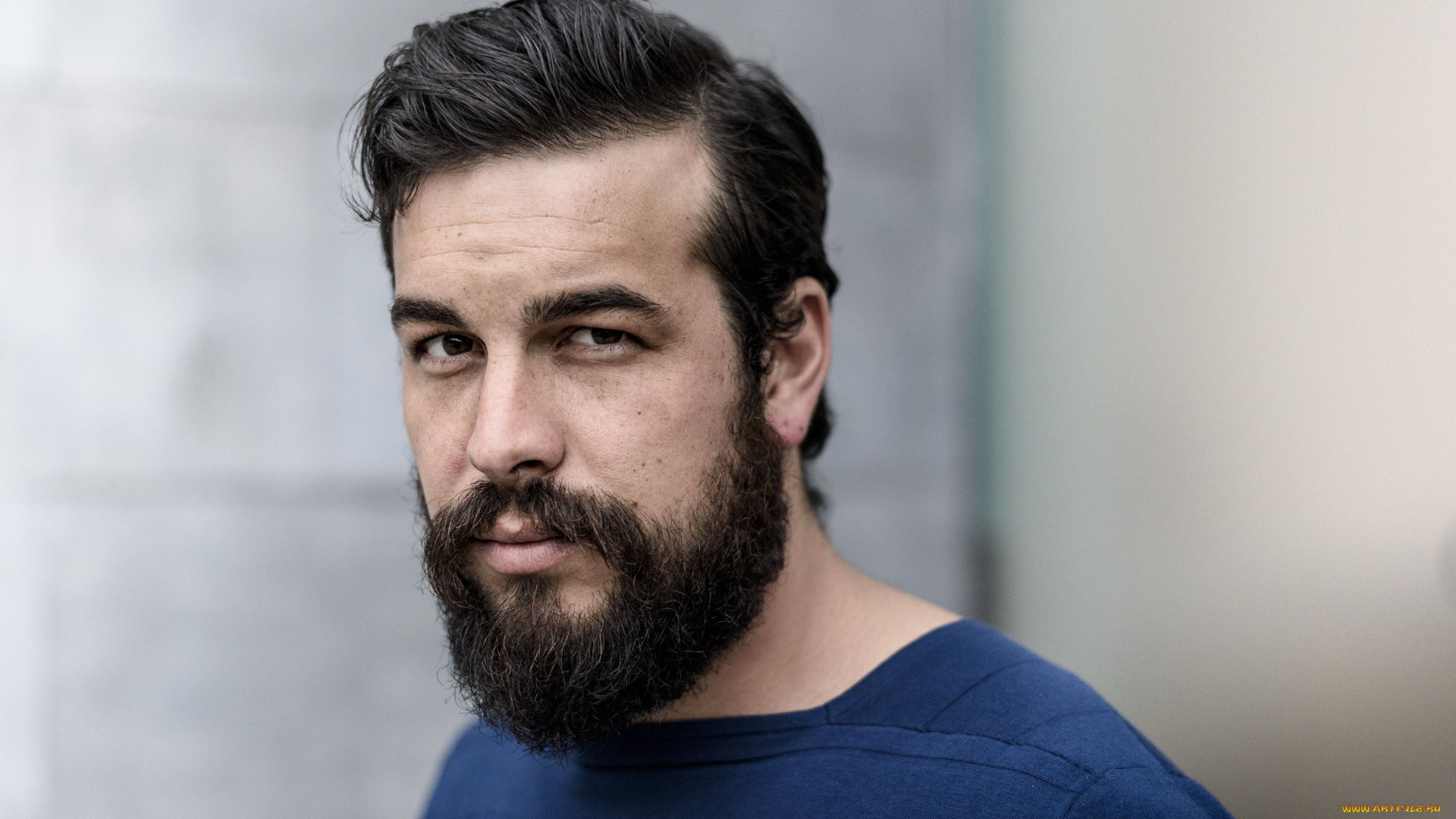 мужчины, mario, casas, свитер, борода, лицо, актер