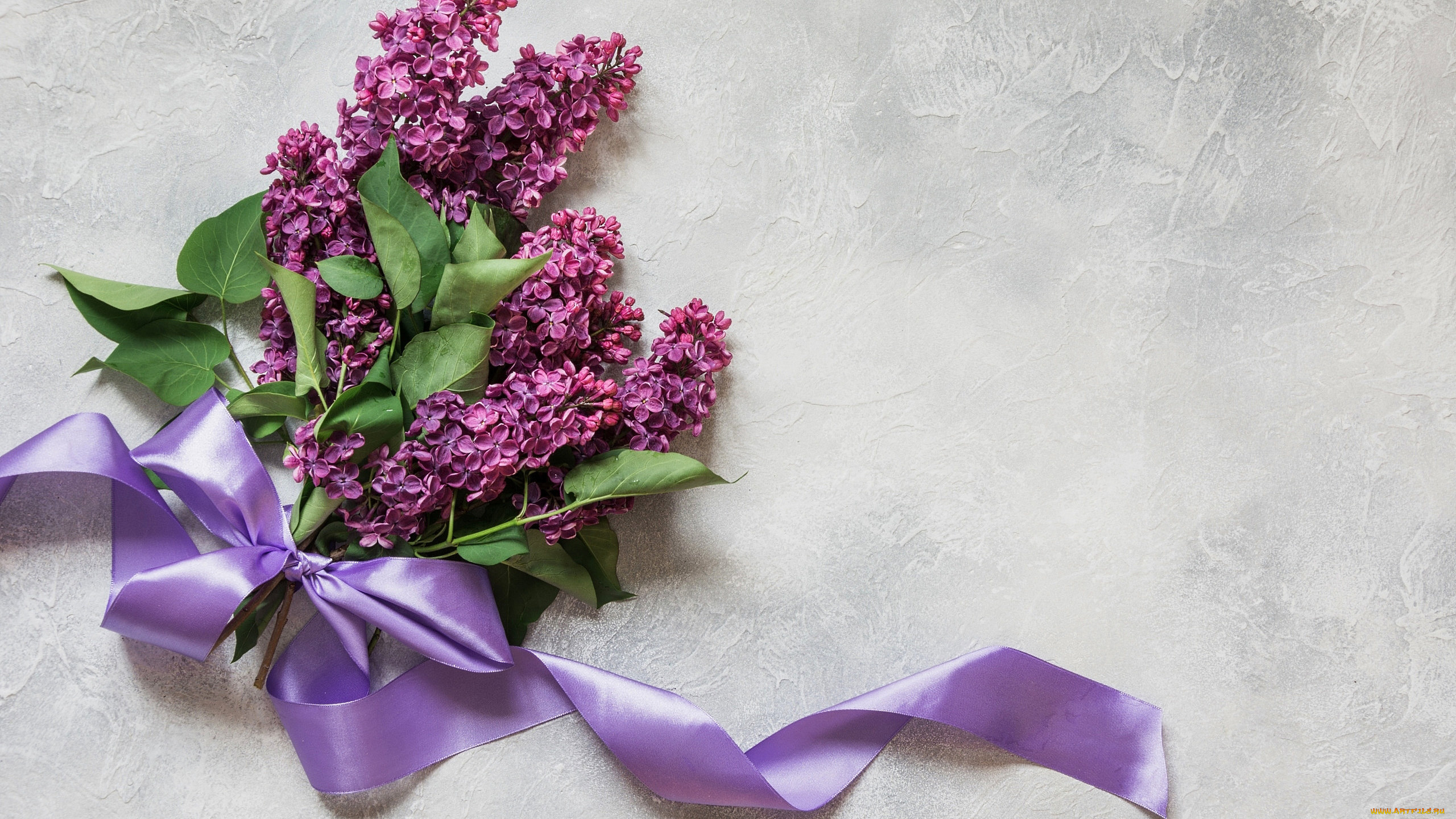 цветы, сирень, ветка, лента, бант