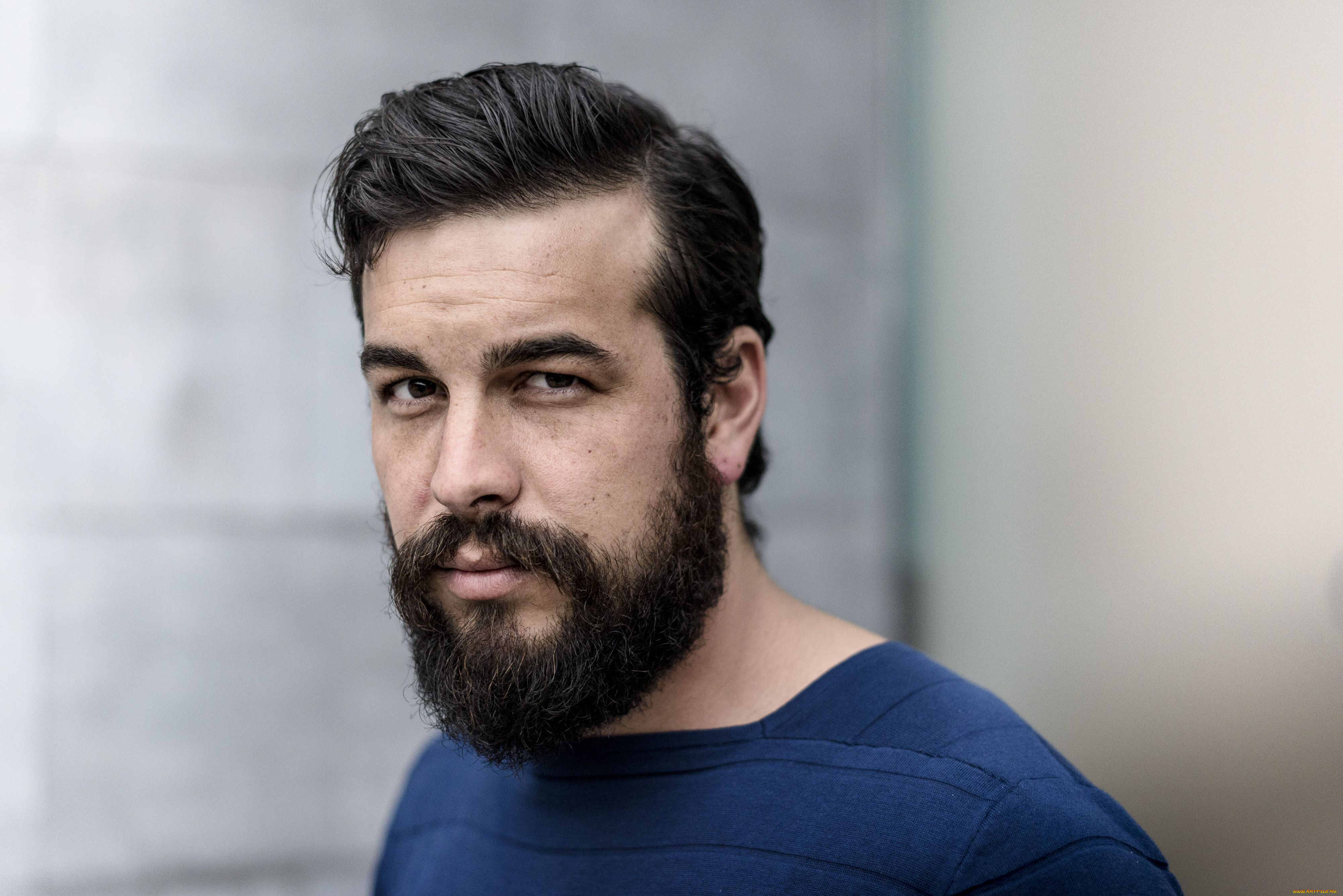мужчины, mario, casas, свитер, борода, лицо, актер