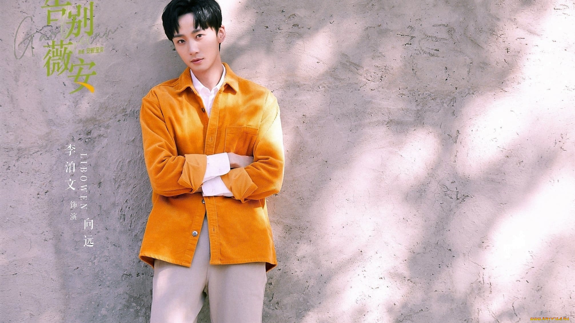 мужчины, li, bo, wen, актер, куртка, стена