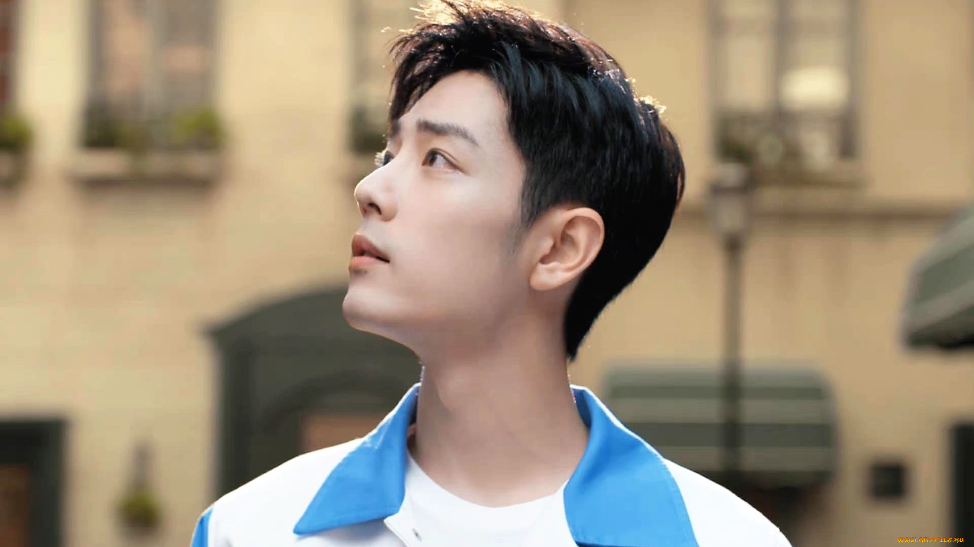 мужчины, xiao, zhan, актер, лицо, рубашка