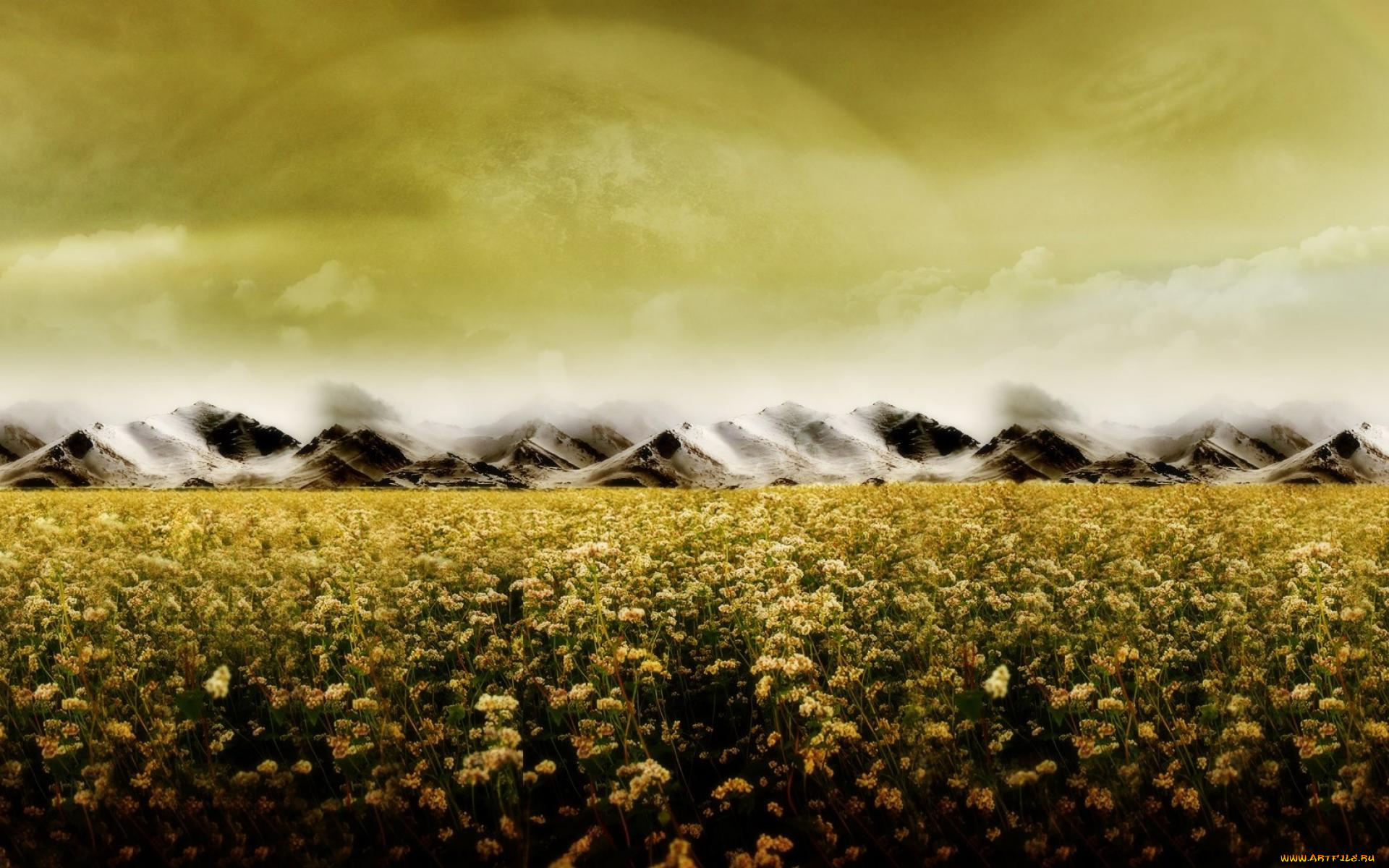 разное, компьютерный, дизайн, планета, горы, поле, цветы