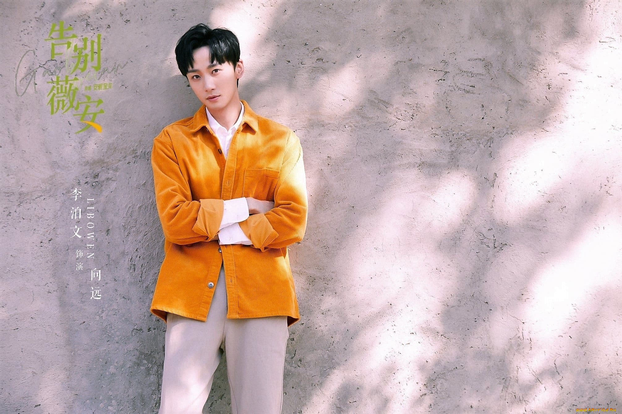 мужчины, li, bo, wen, актер, куртка, стена