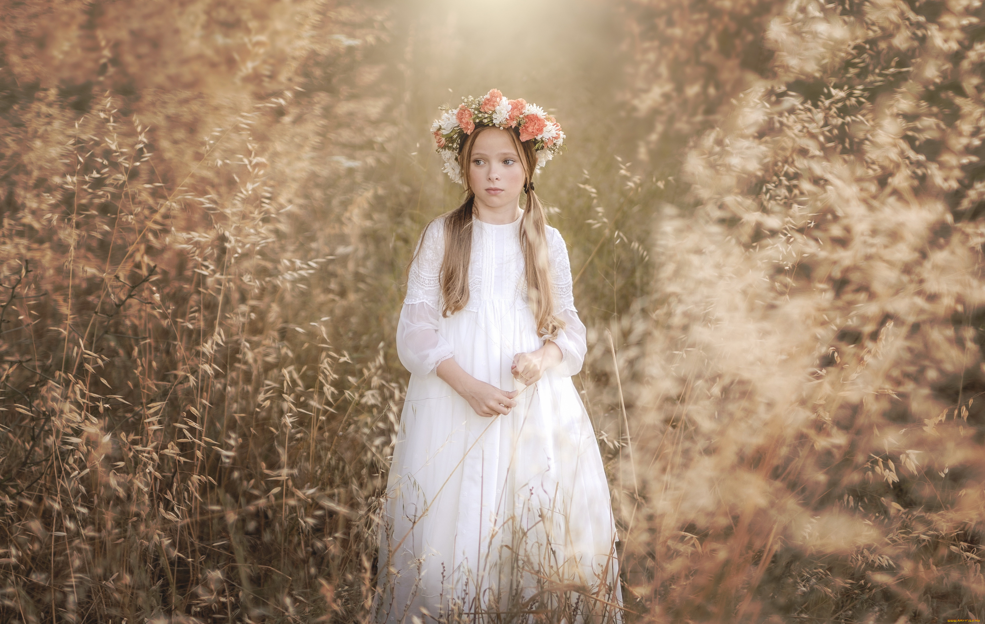 разное, дети, девочка, венок, платье, трава