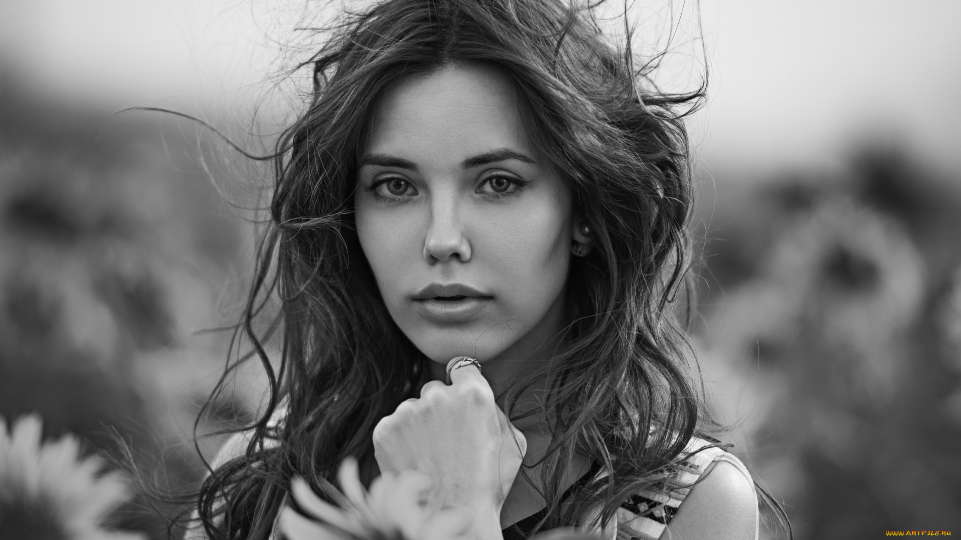 девушки, -, черно-белые, монохром