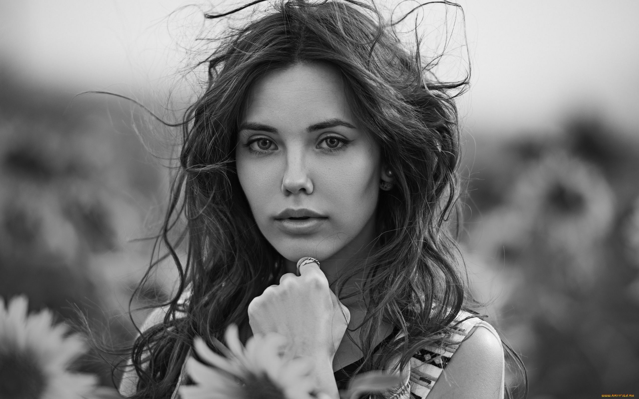 девушки, -, черно-белые, монохром