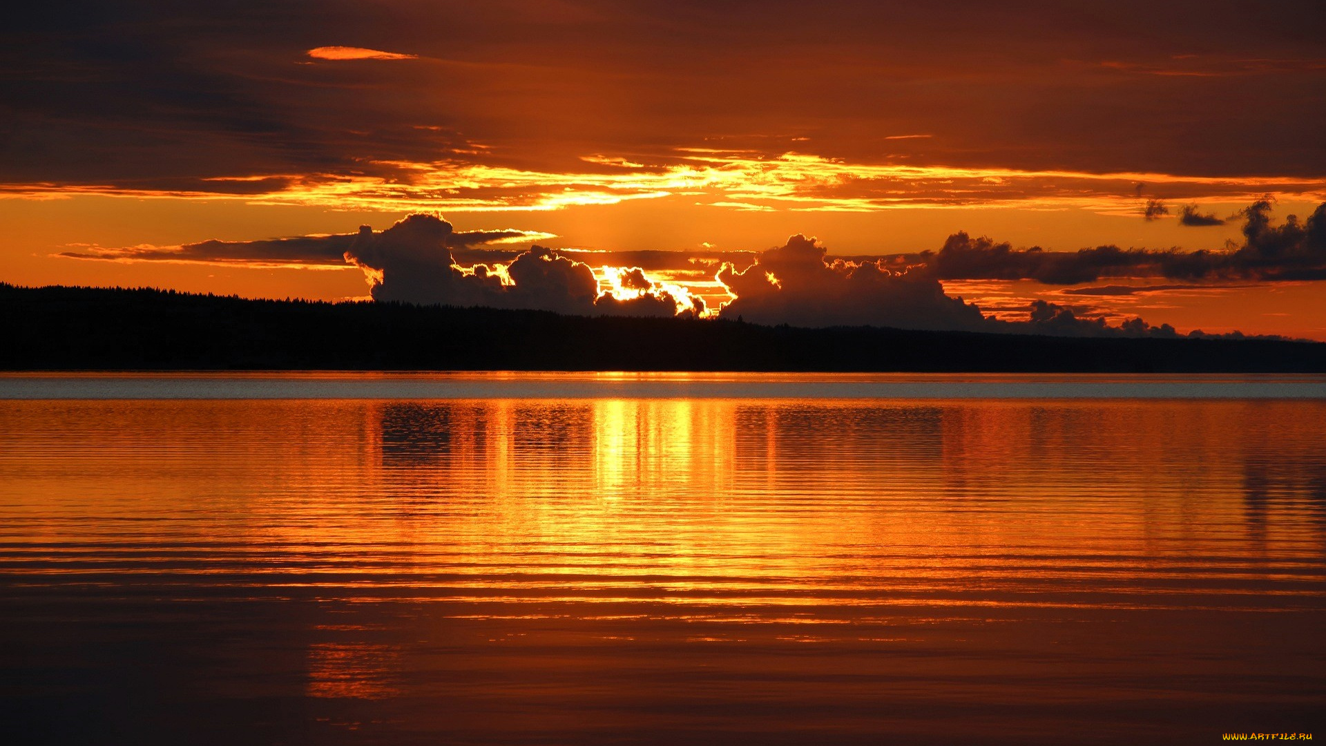 природа, восходы, закаты, закат, облака, лес, озеро