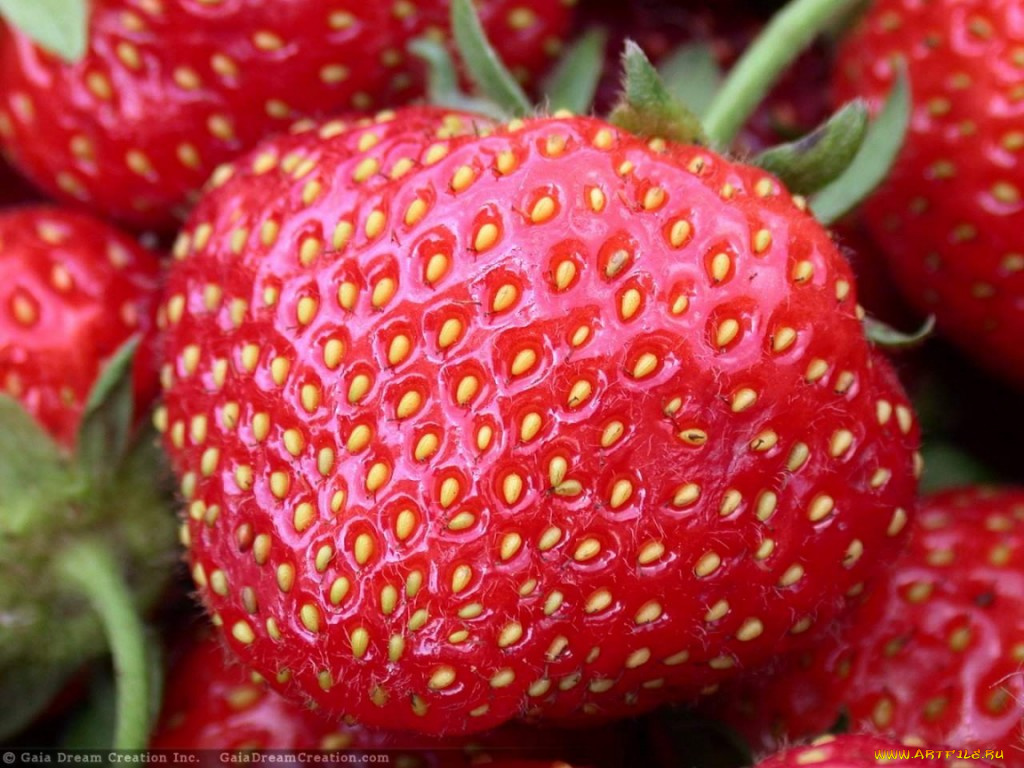 klubnika, еда, клубника, земляника