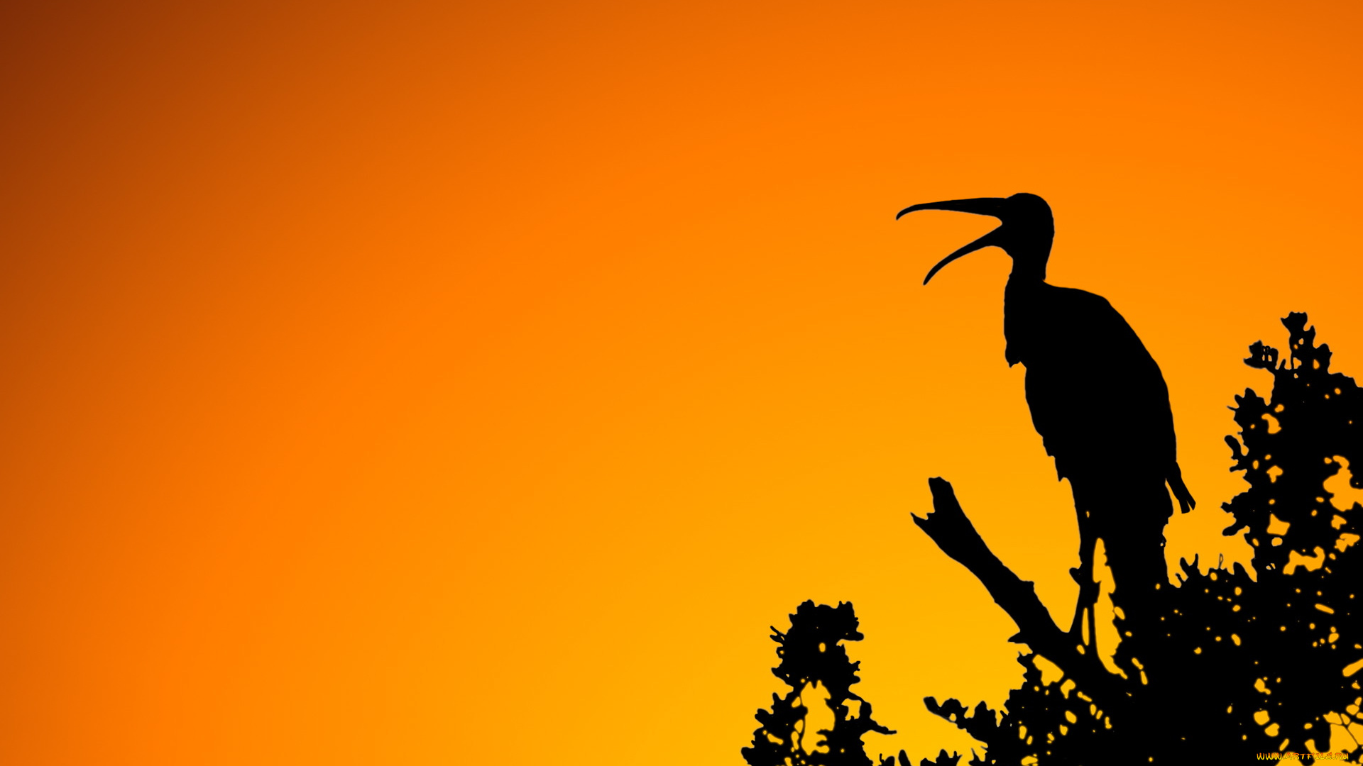 woodstork, sunset, векторная, графика