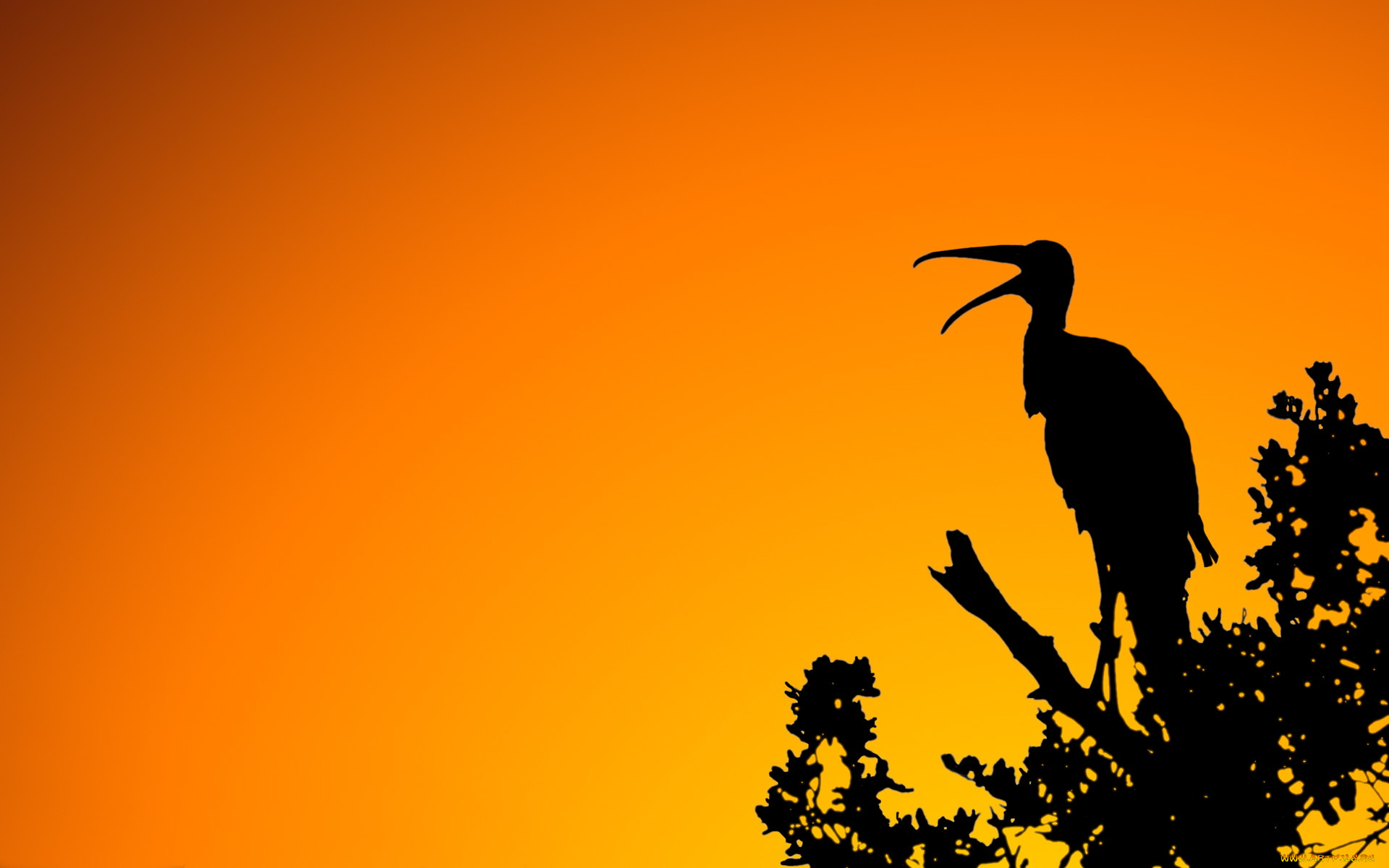 woodstork, sunset, векторная, графика