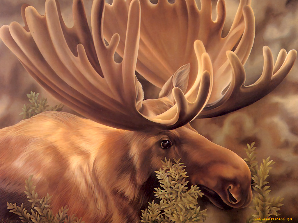 рисованные, животные, лоси