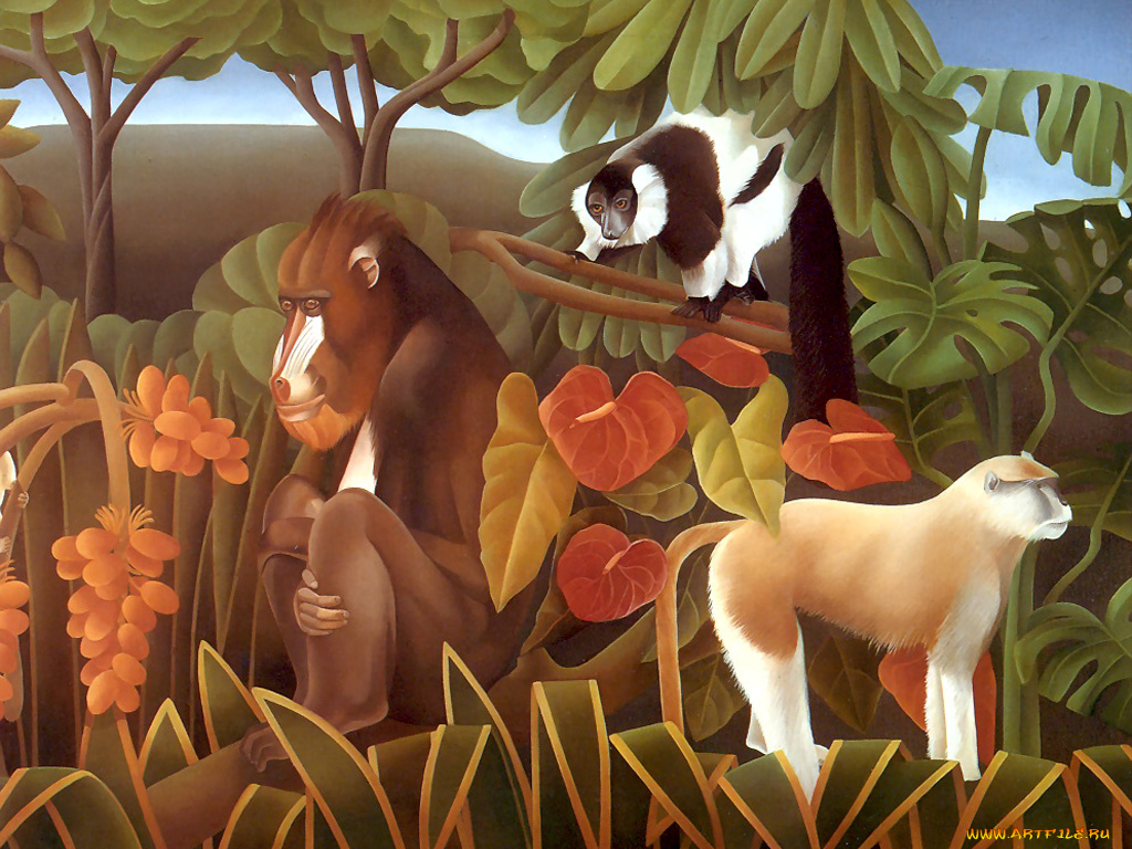 рисованные, животные, обезьяны