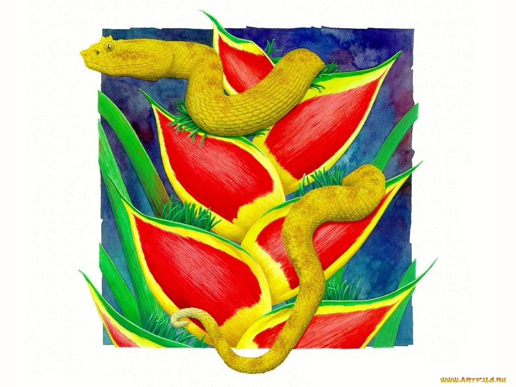 рисованные, животные, змеи