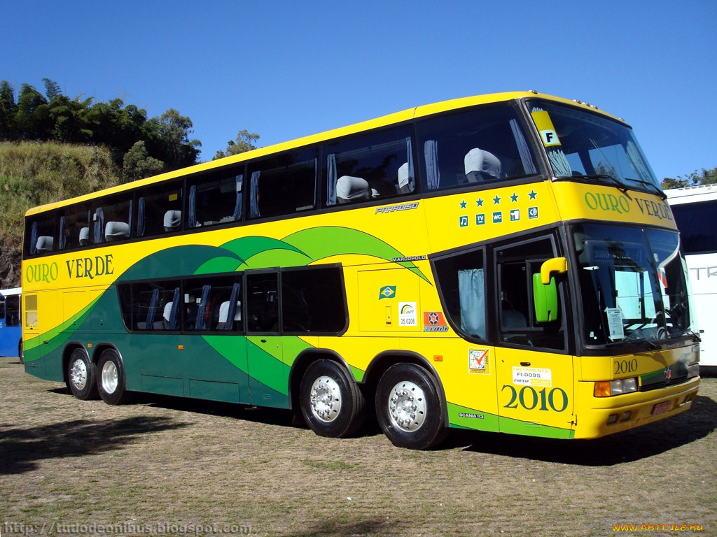 автомобили, автобусы